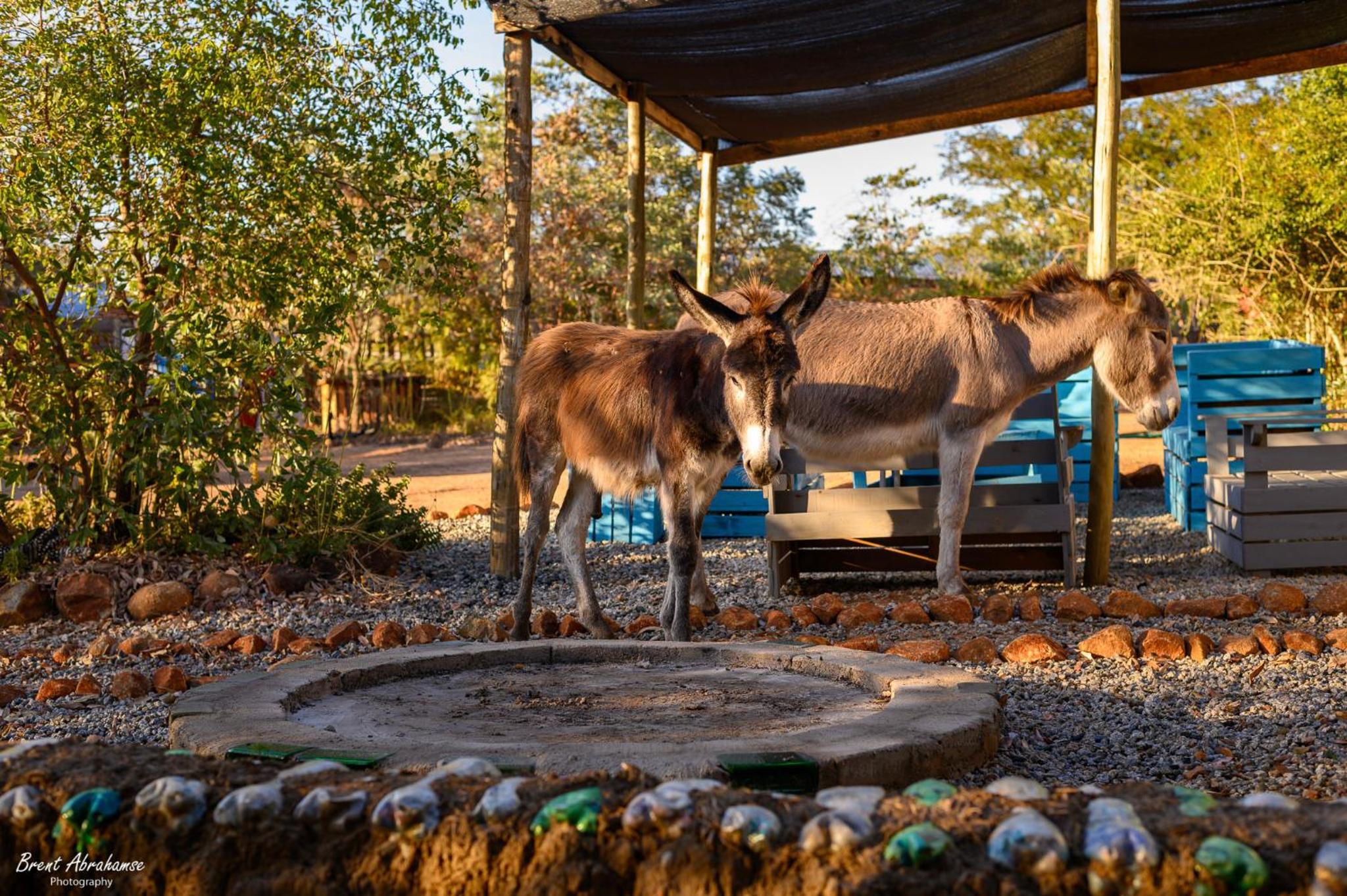 Shik Shack Backpackers - Image 3