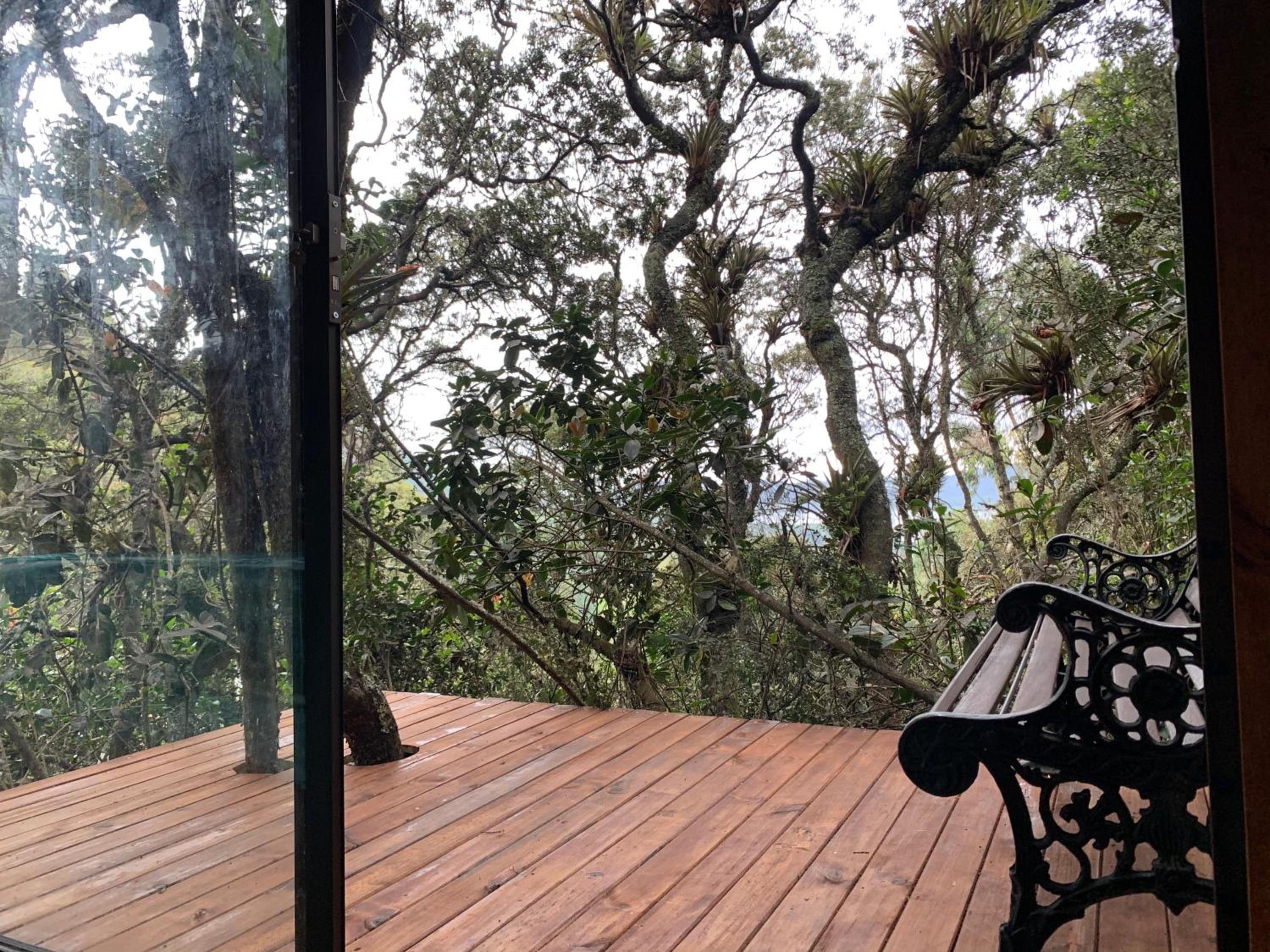 Mirador Bosque Gran Torino Neusa