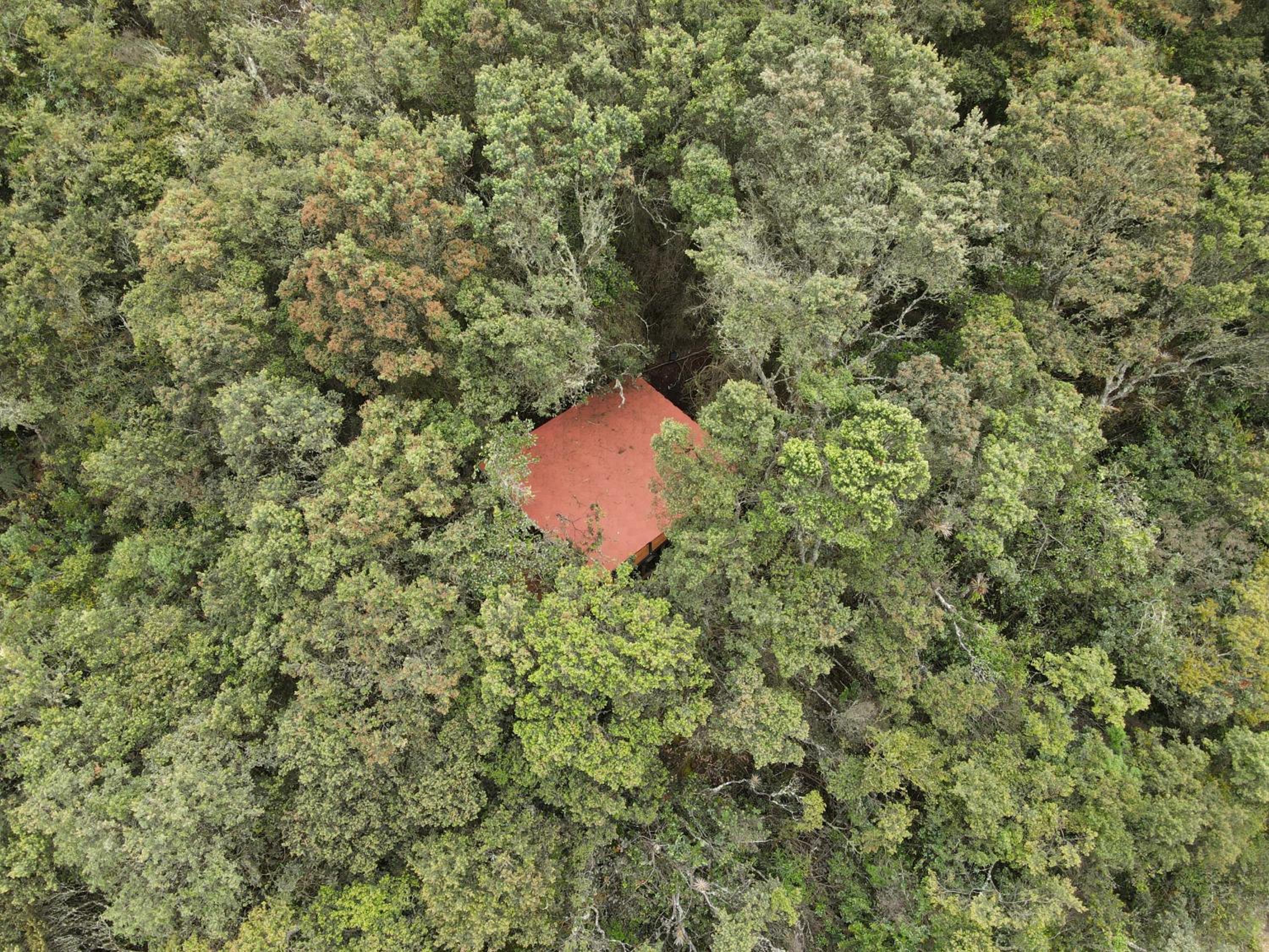 Mirador Bosque Gran Torino Neusa