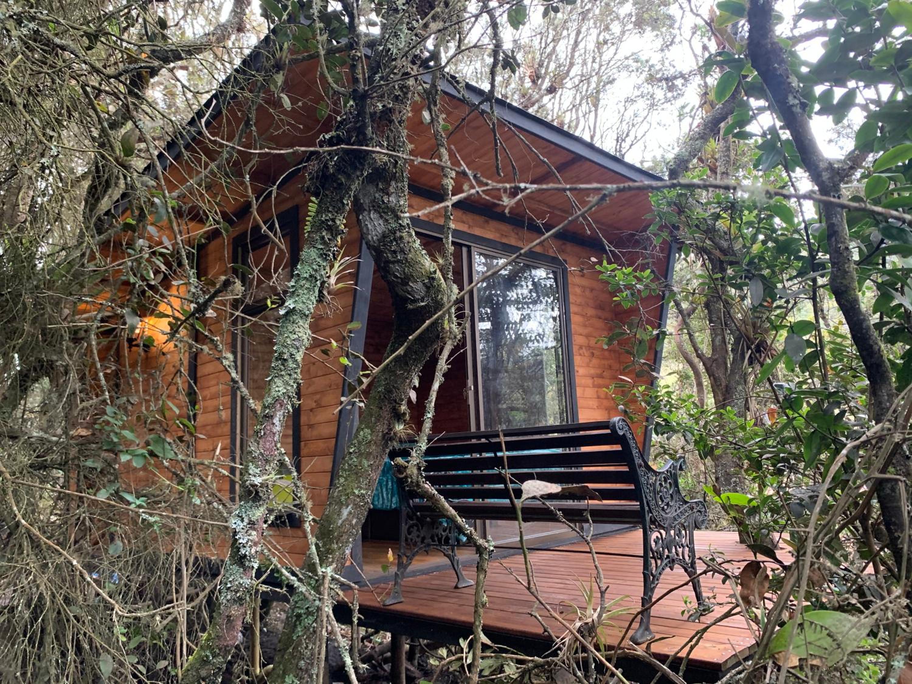 Mirador Bosque Gran Torino Neusa