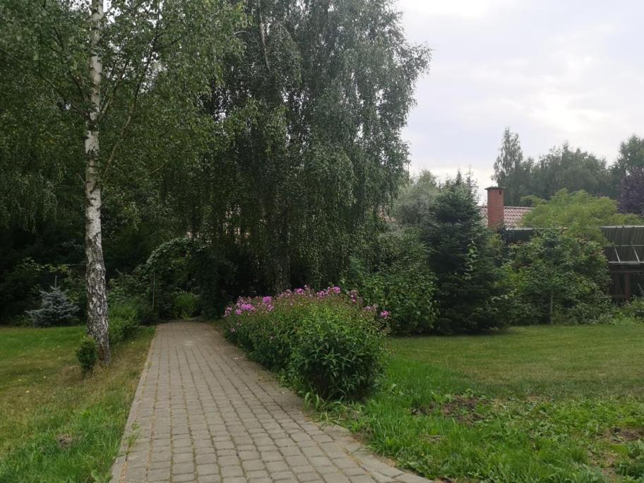 Photo 20