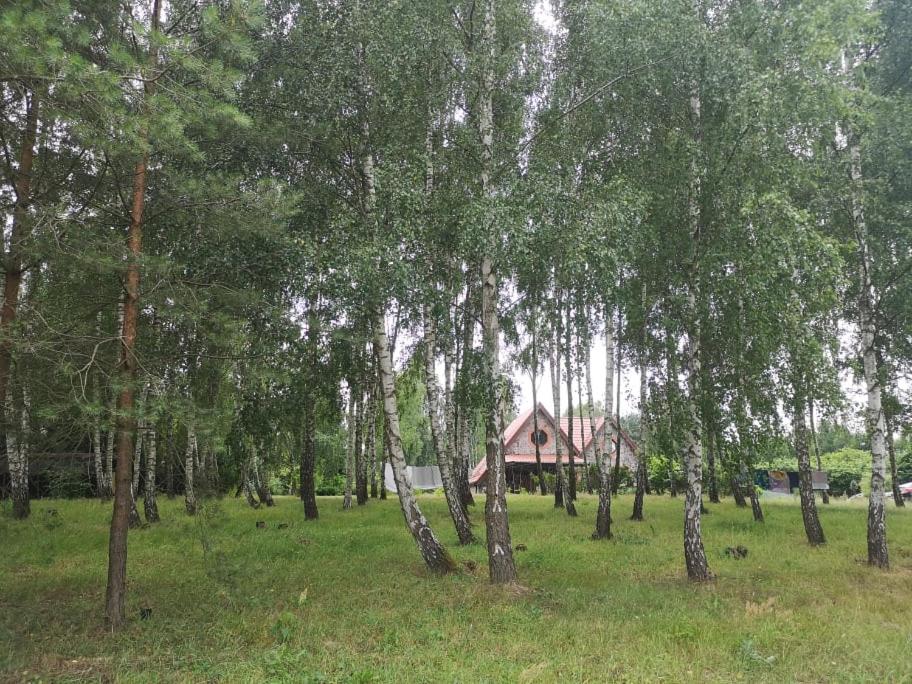 Photo 21