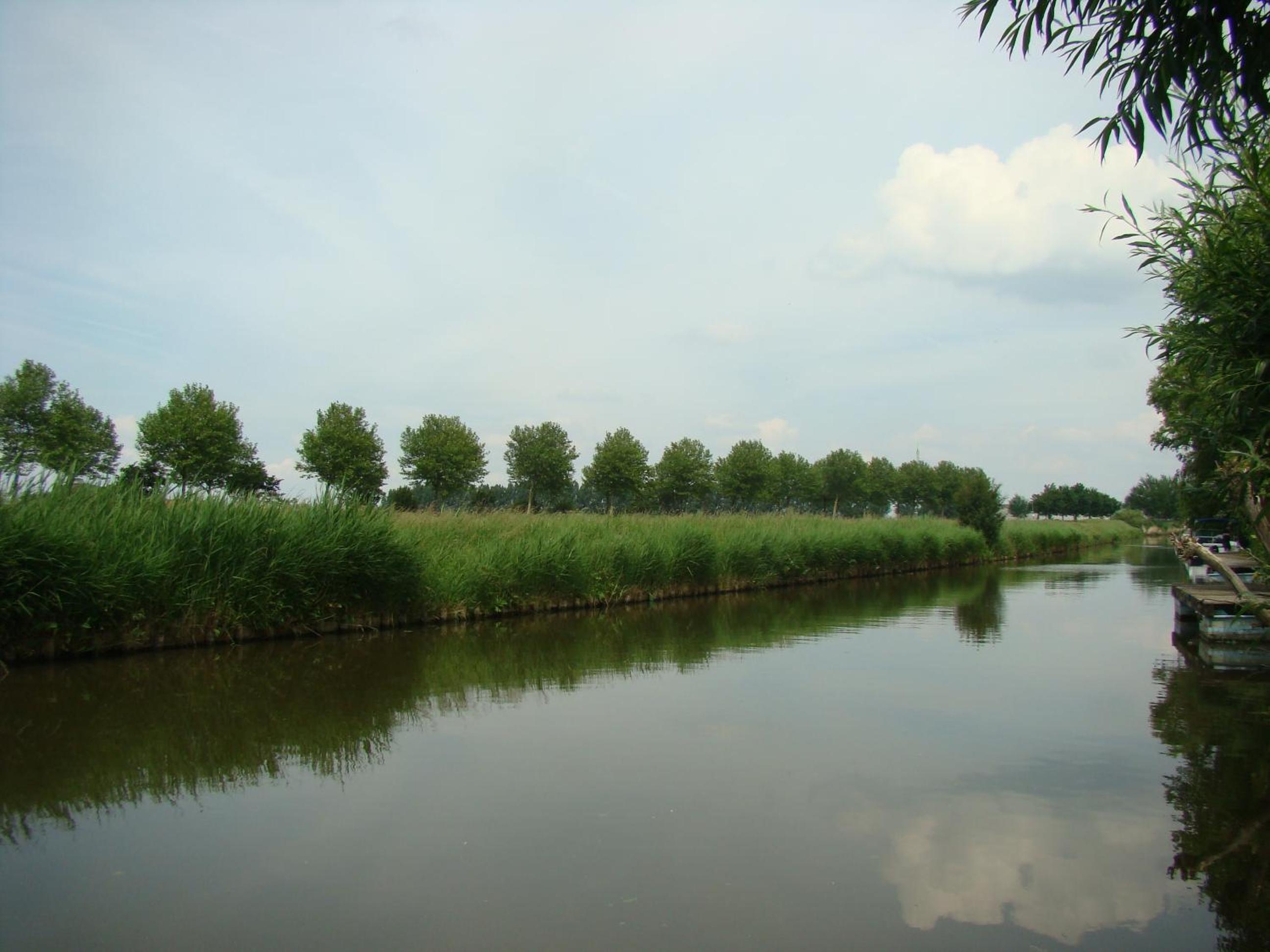Photo 47