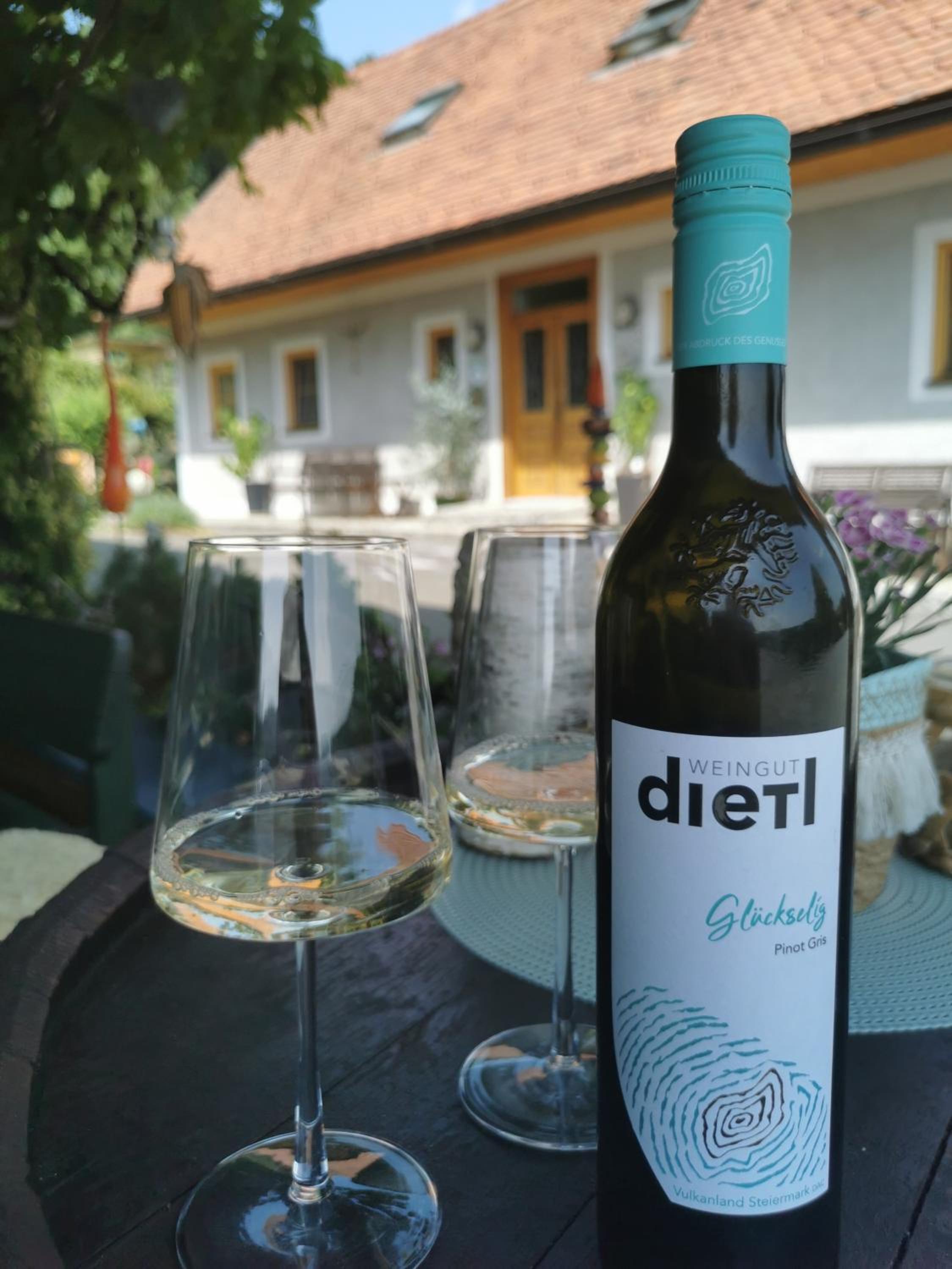 Weingut Dietl view 3