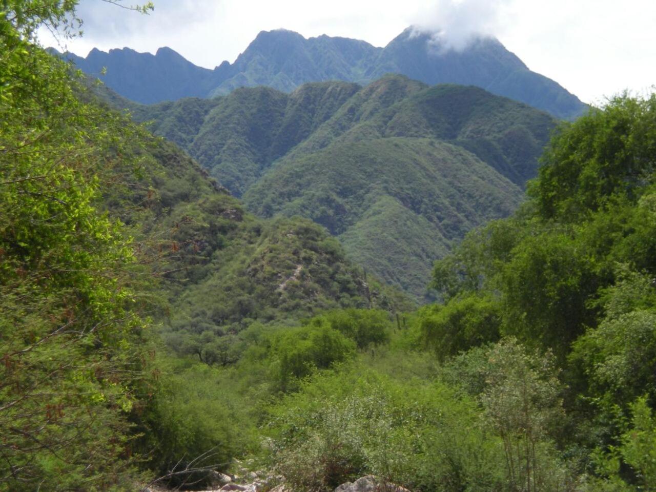 La Killuna