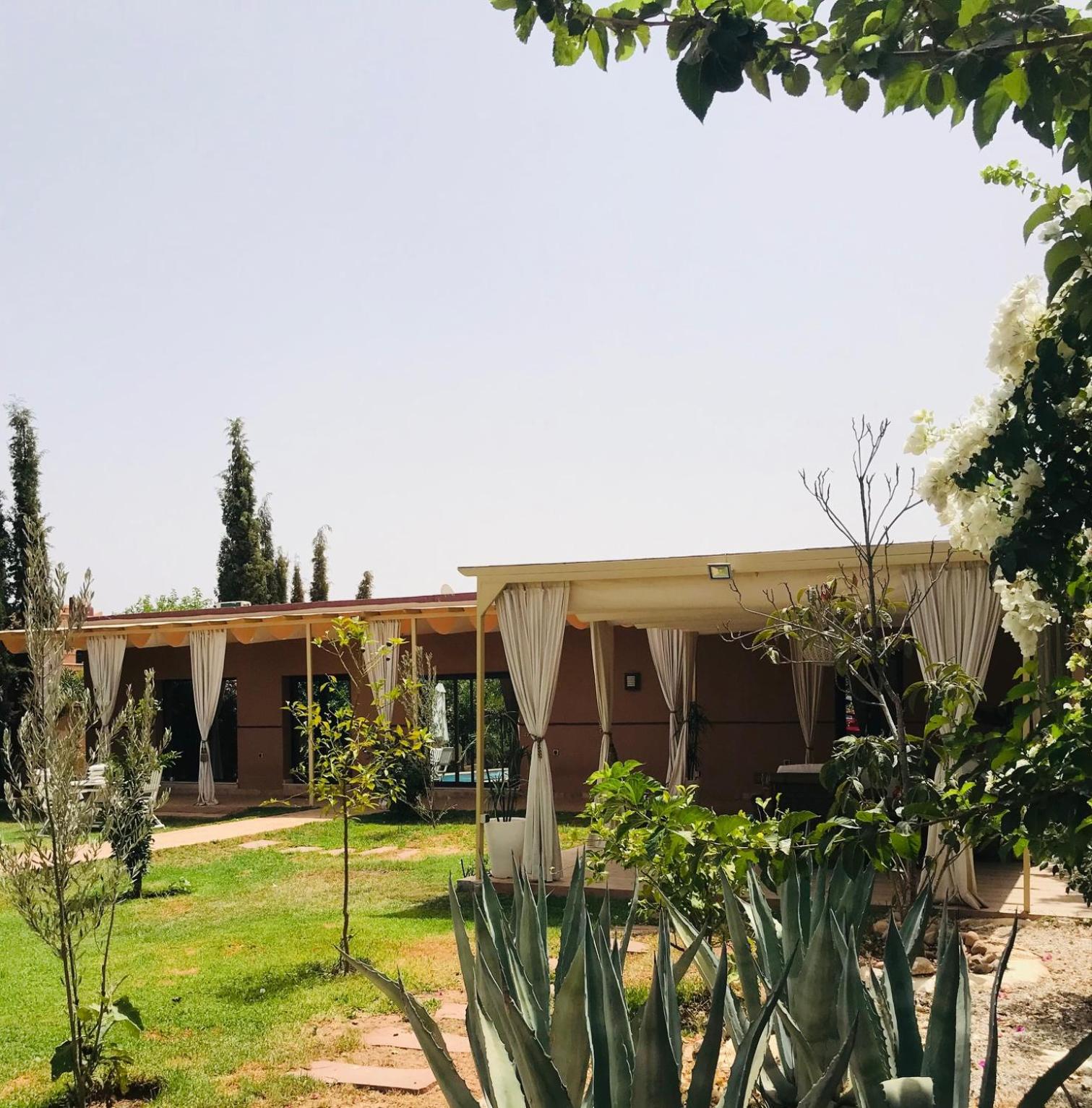 Photo 137