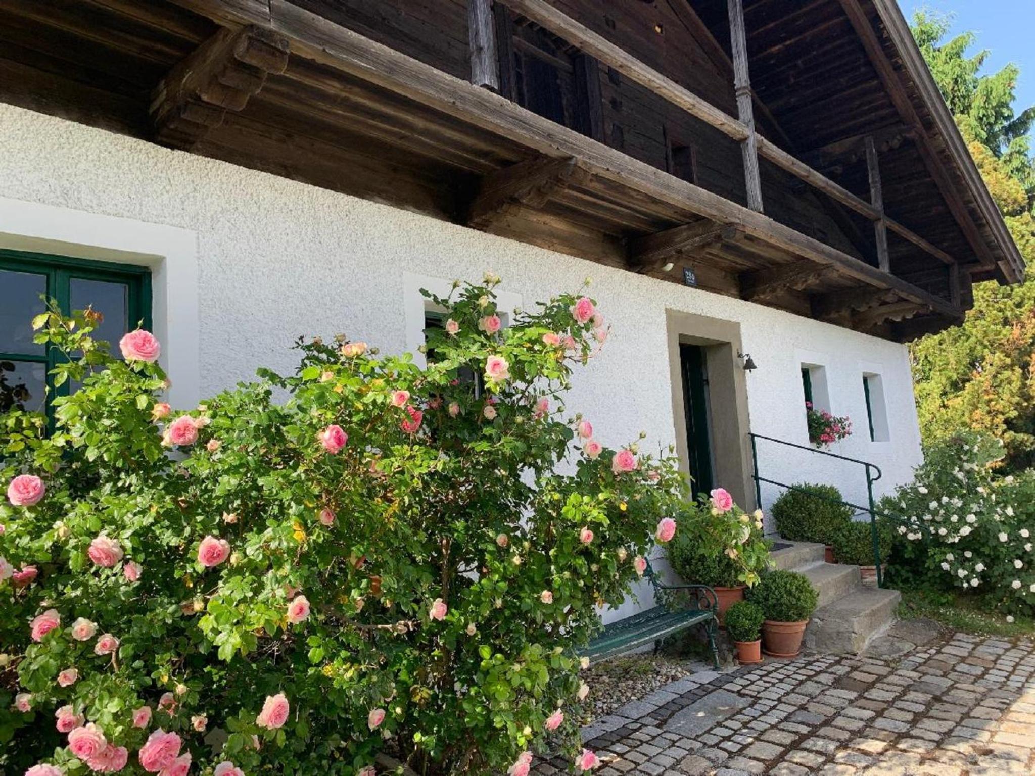 Ferienhaus Rötzer Maria