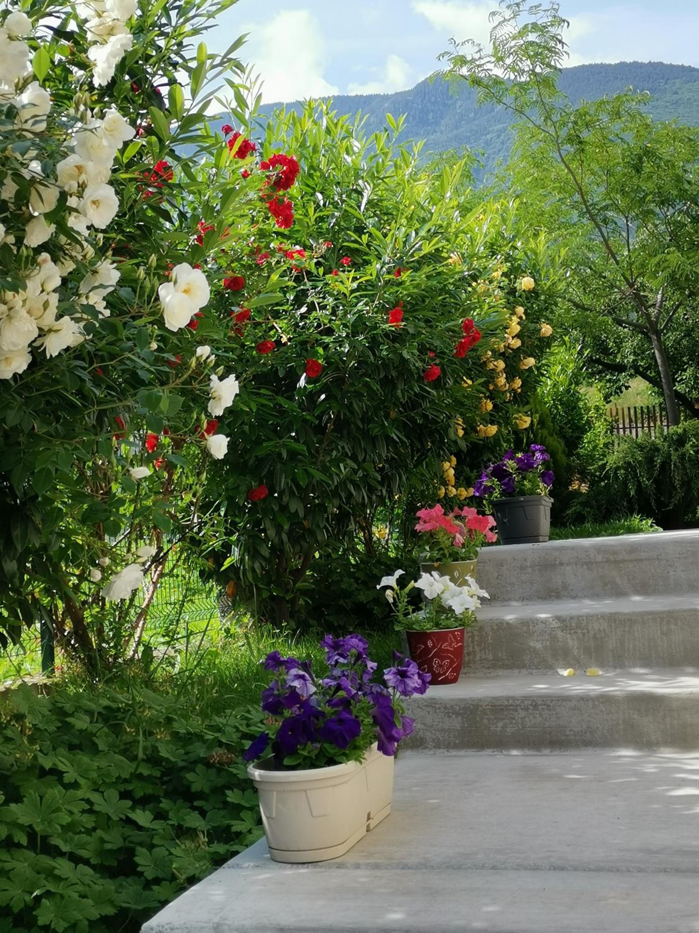 Guest House Vessyta