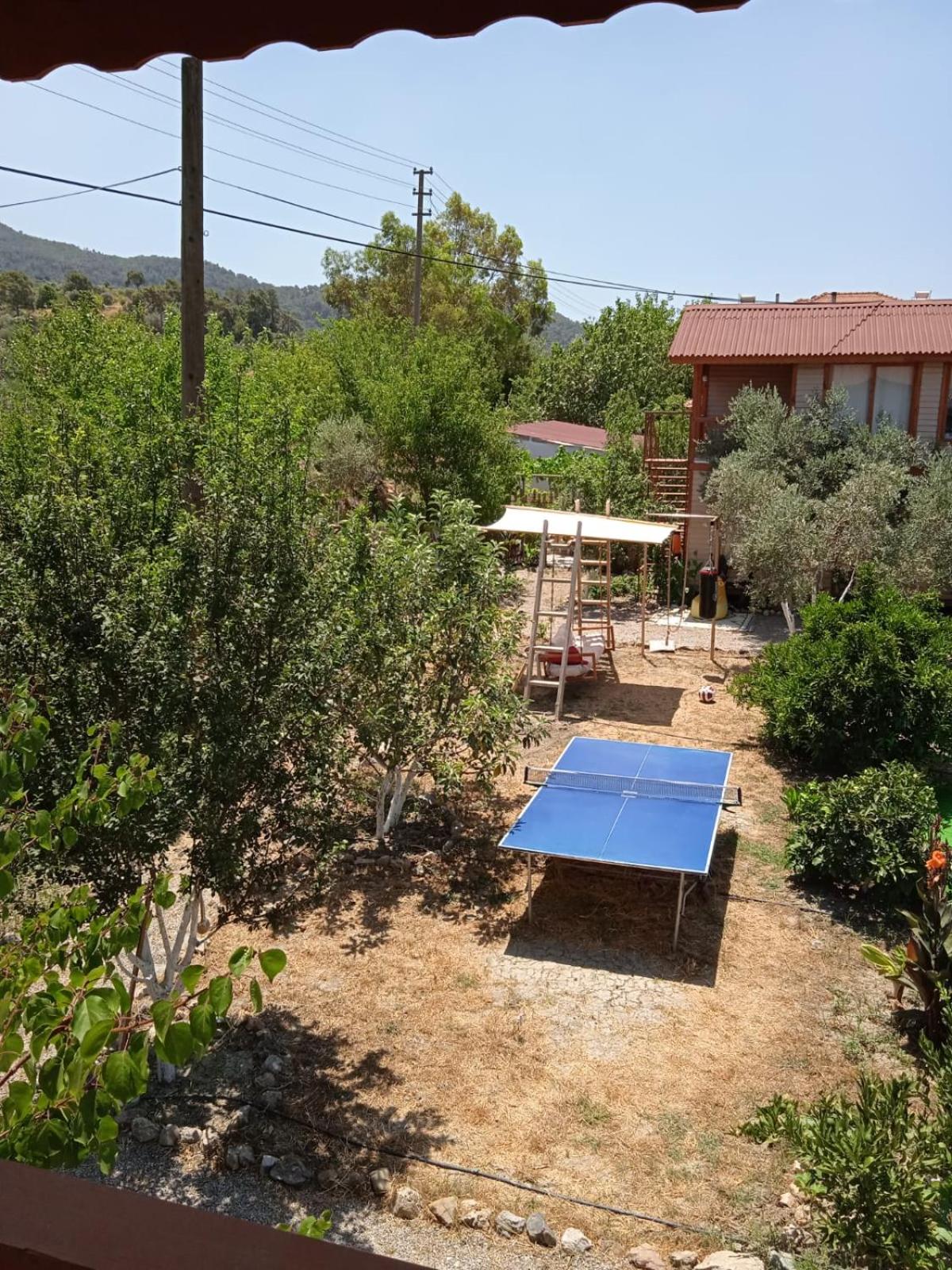 Photo 18