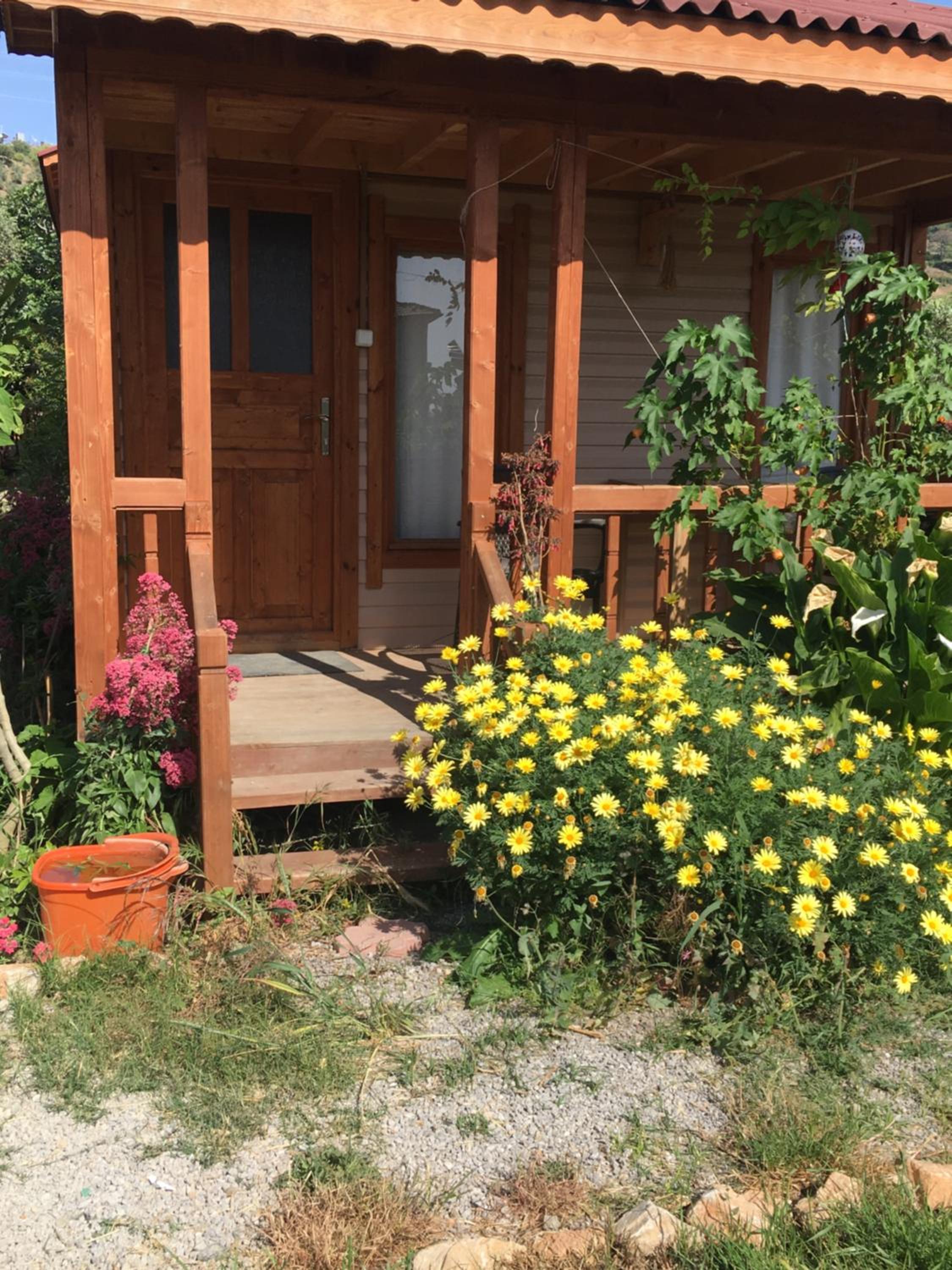 Photo 21