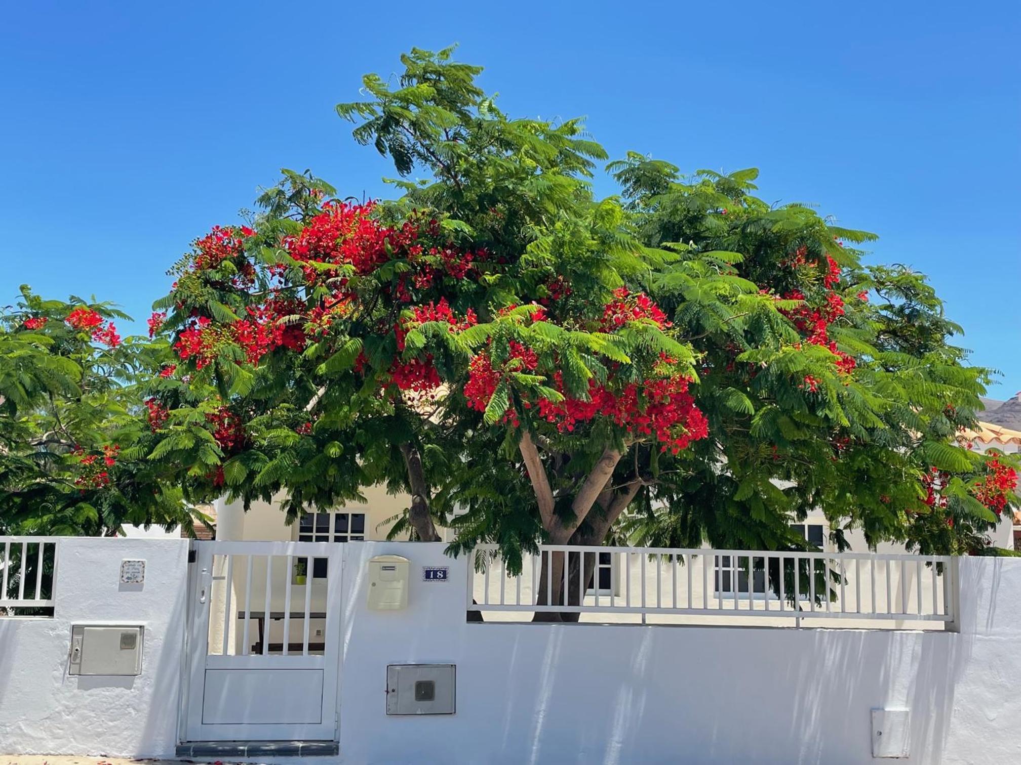 Casa Enamorado view 4
