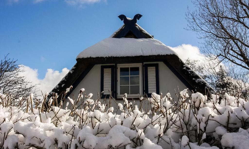Strandhaus