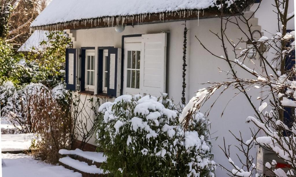 Strandhaus
