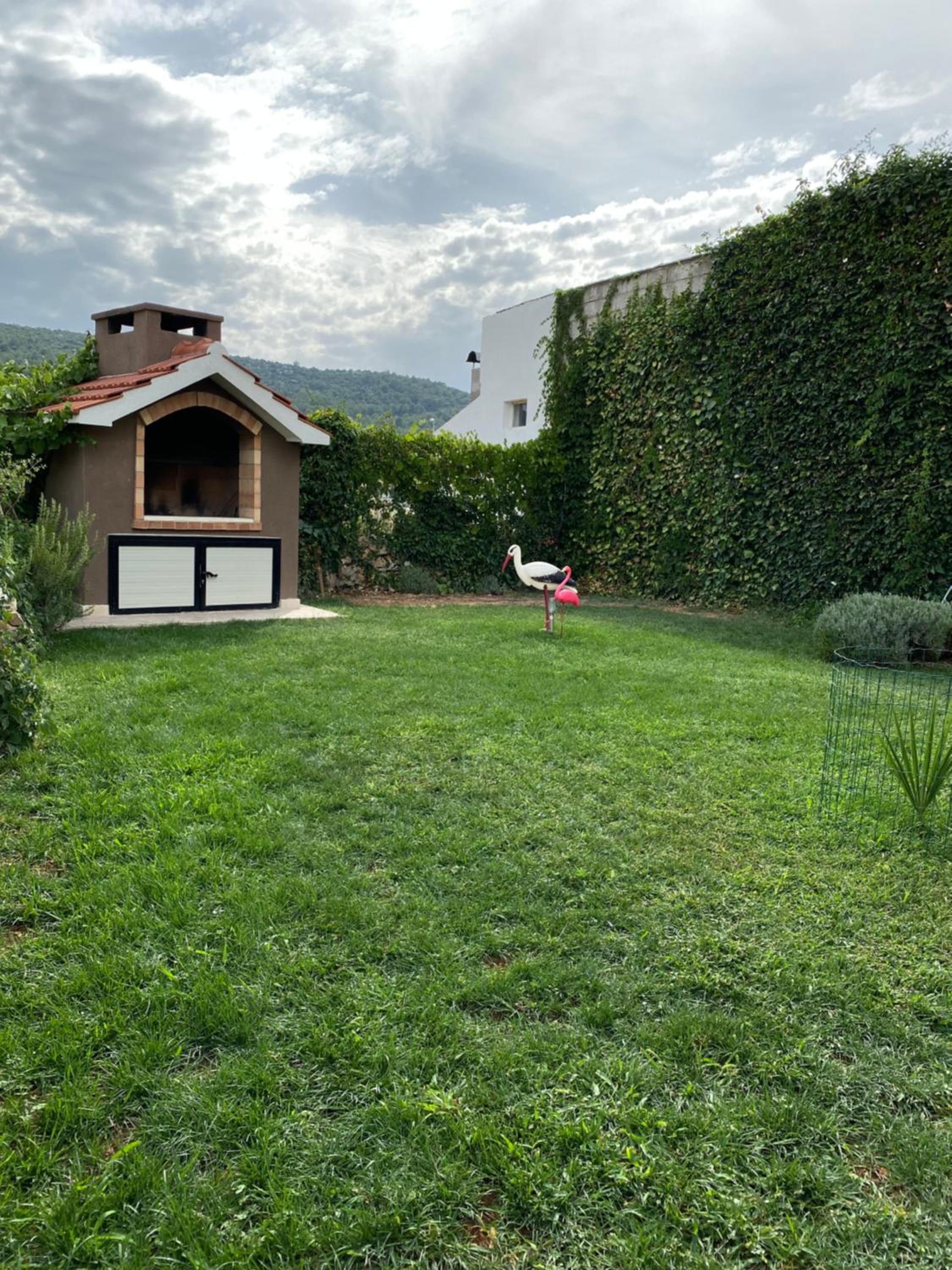 Photo 51