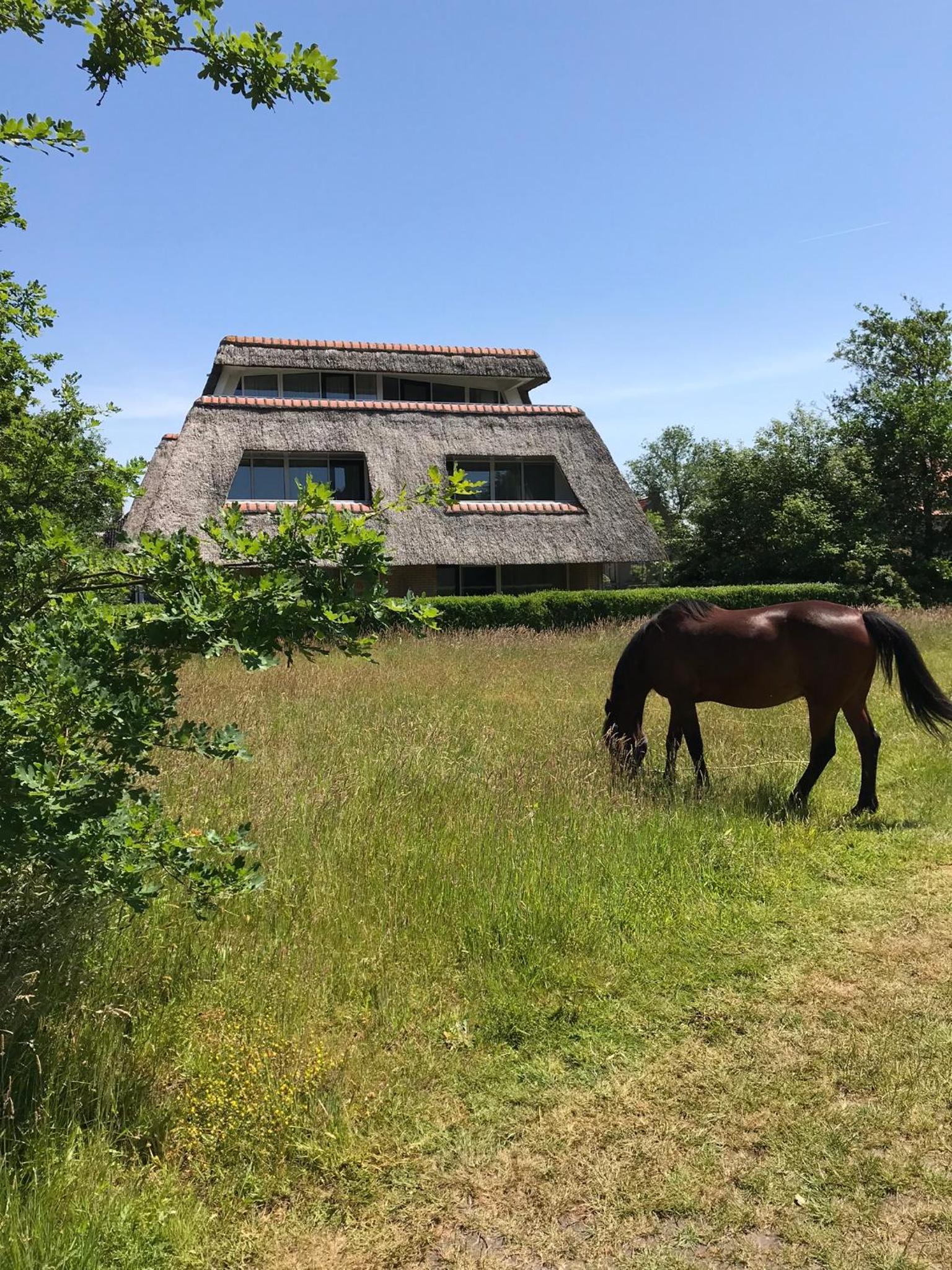 Waddenresidentie Ameland Nummer vier view 2