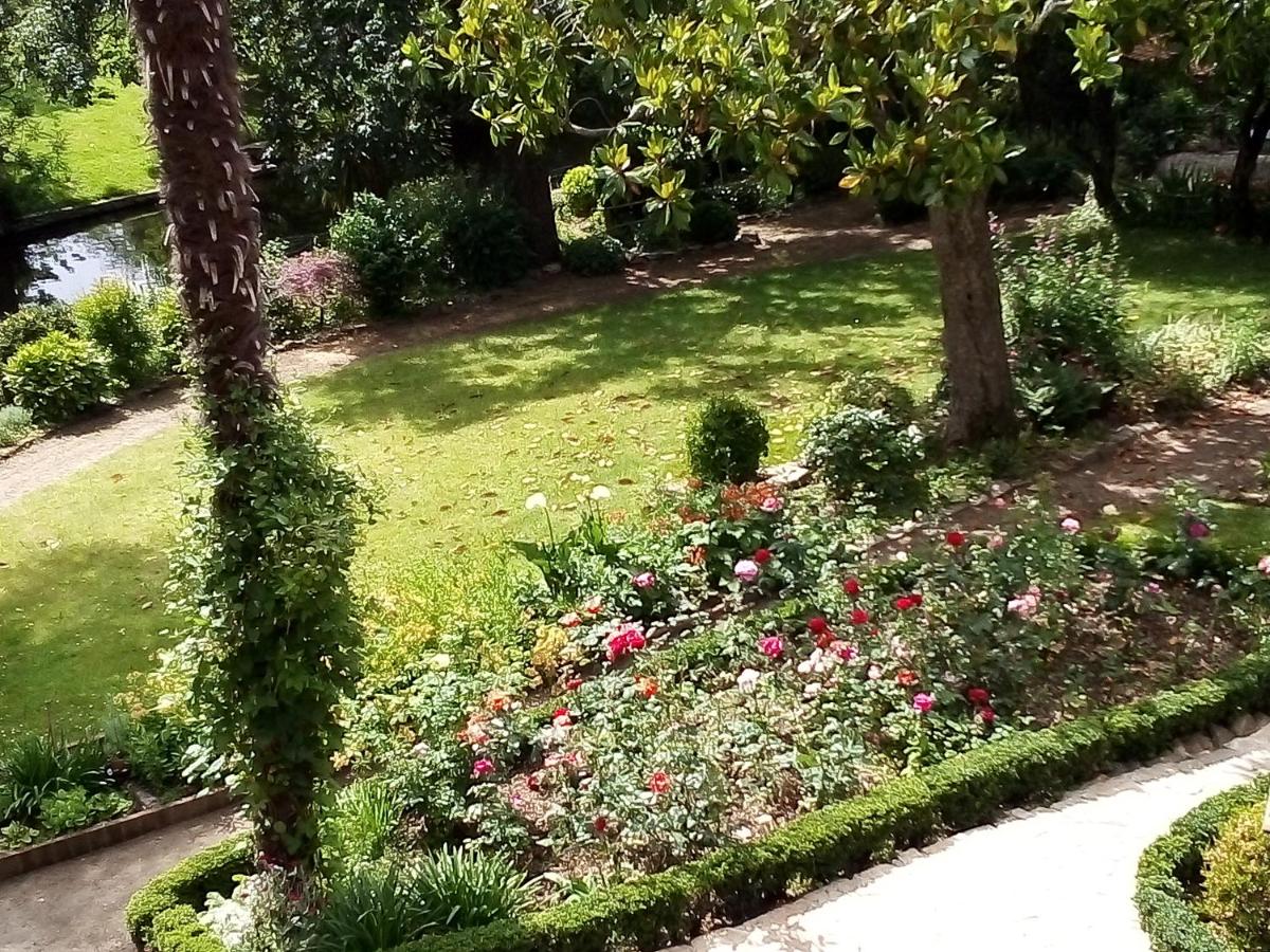 Les Cèdres en Montaigu-Vendée