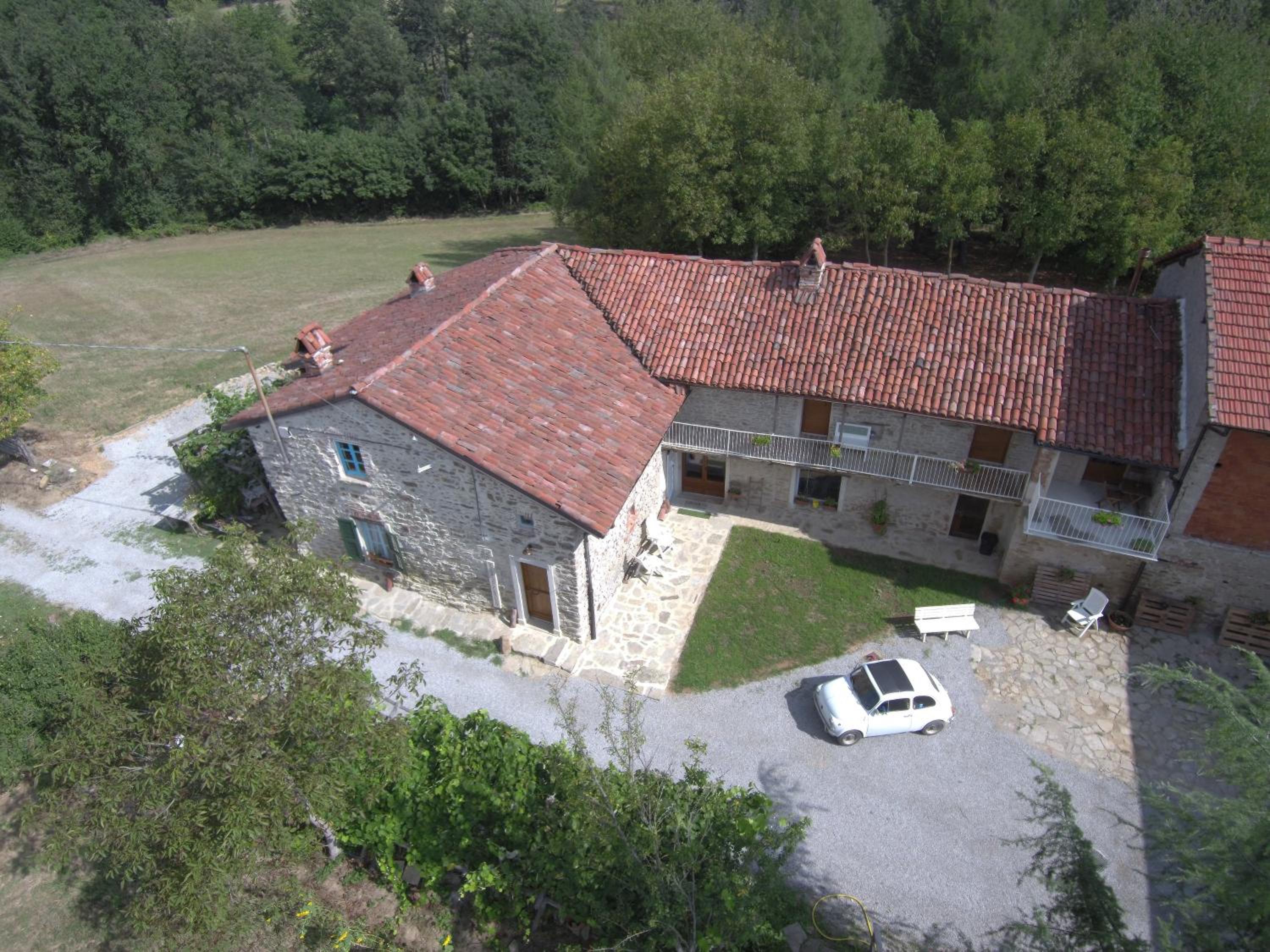Photo 11