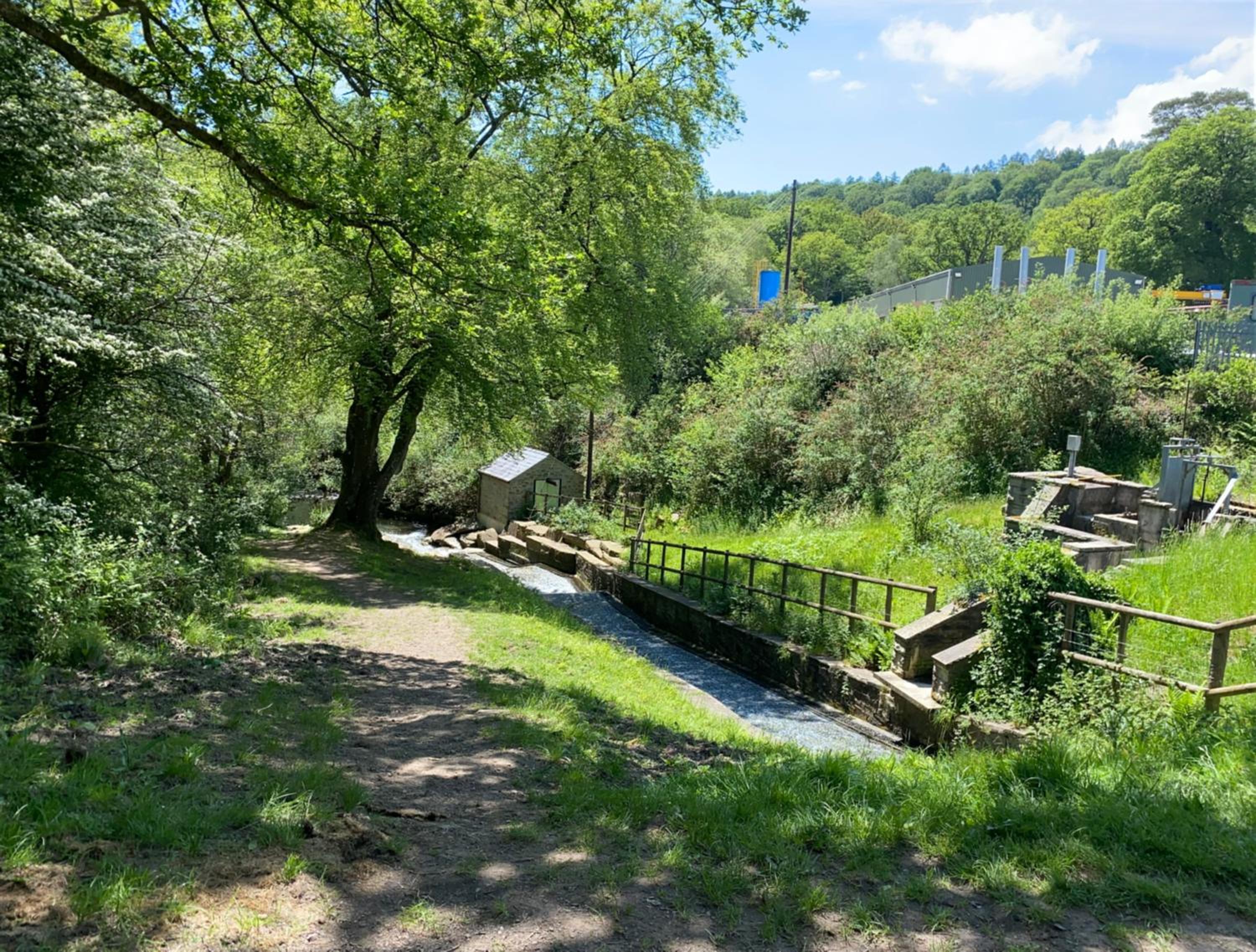 Photo 10