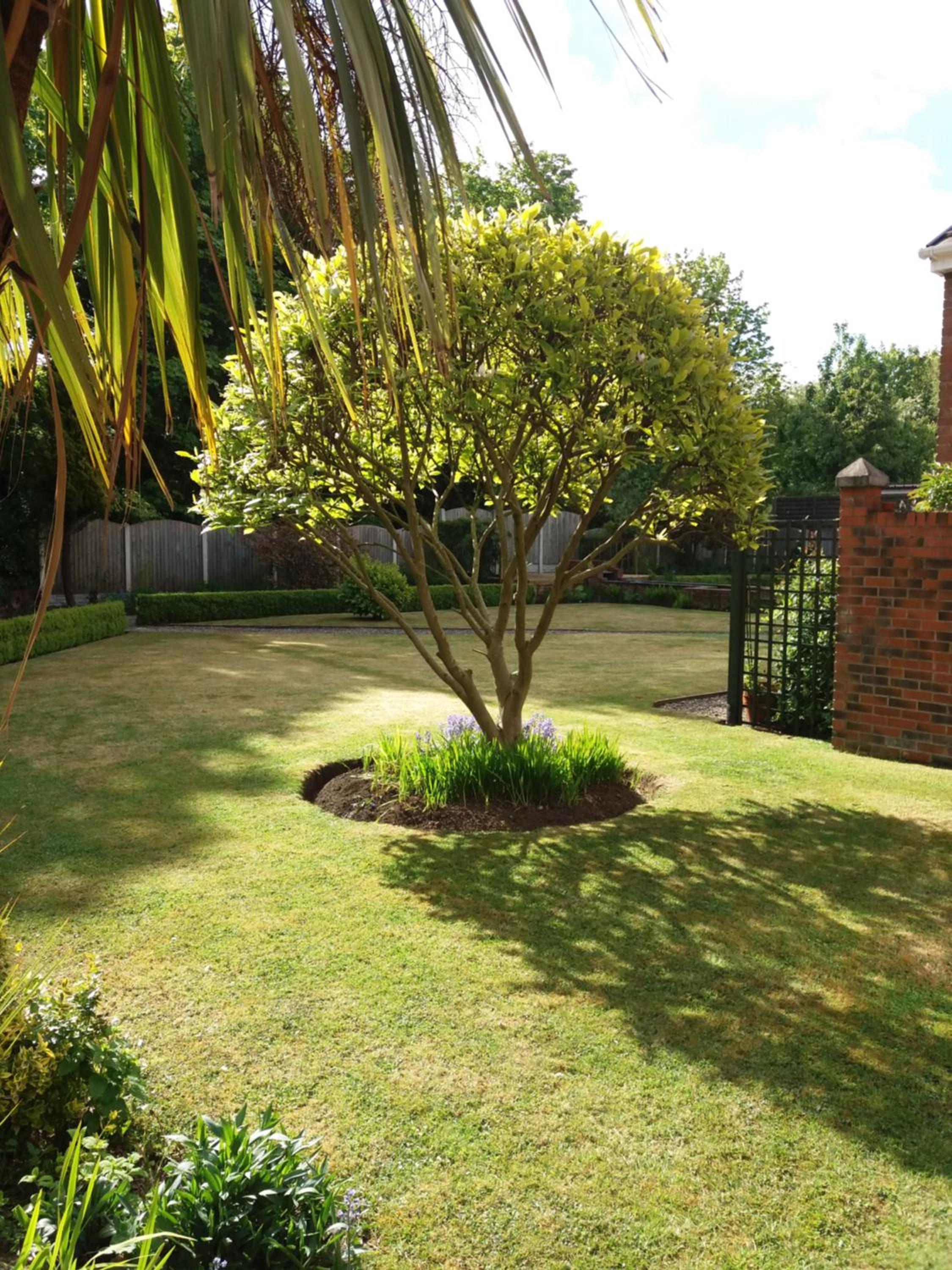 Photo 22