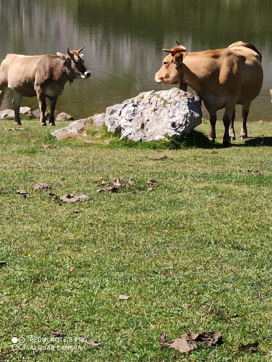 La Casa Nueva Alojamiento Rural