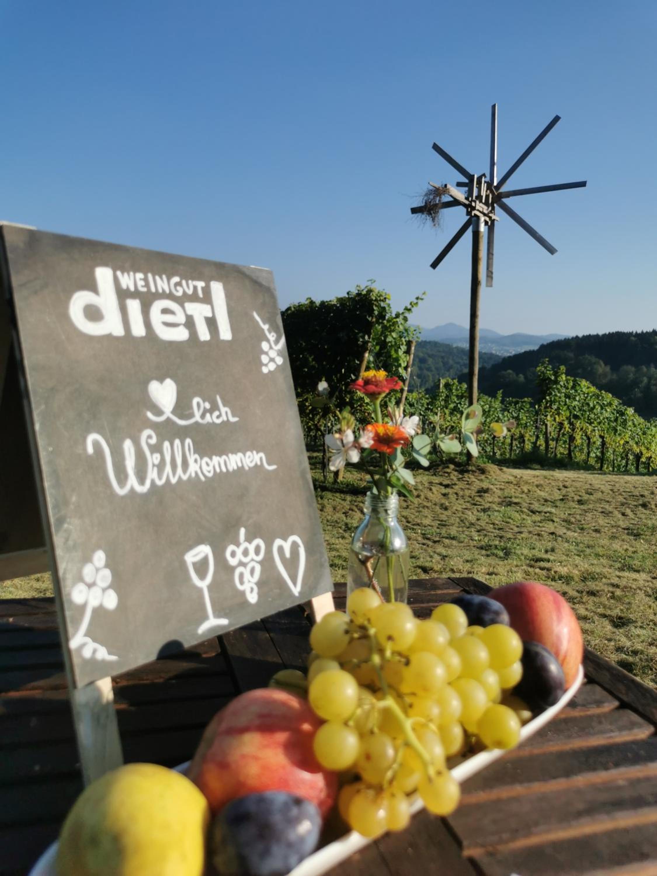 Weingut Dietl view 2
