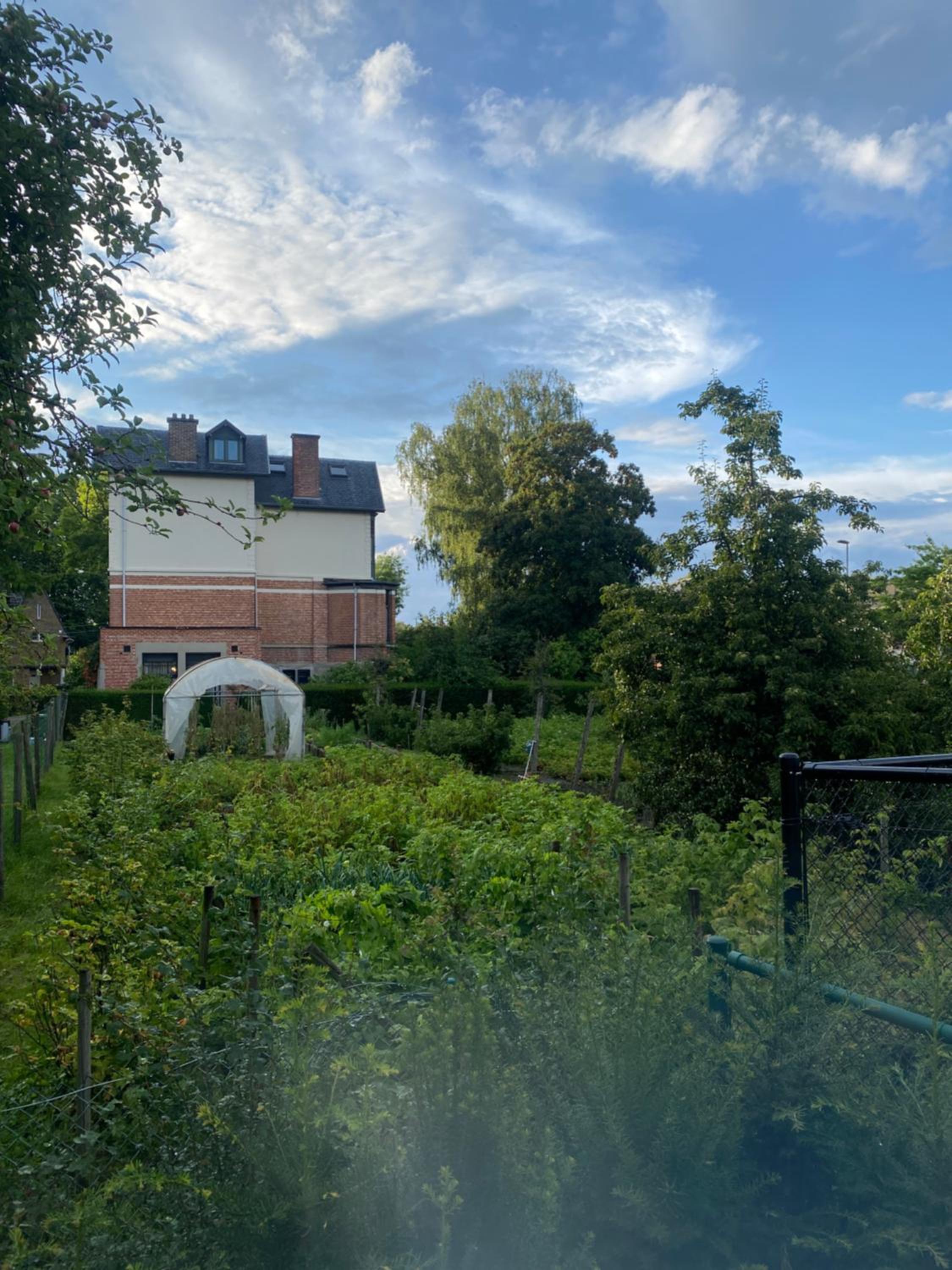 Nummer 151 villastudios