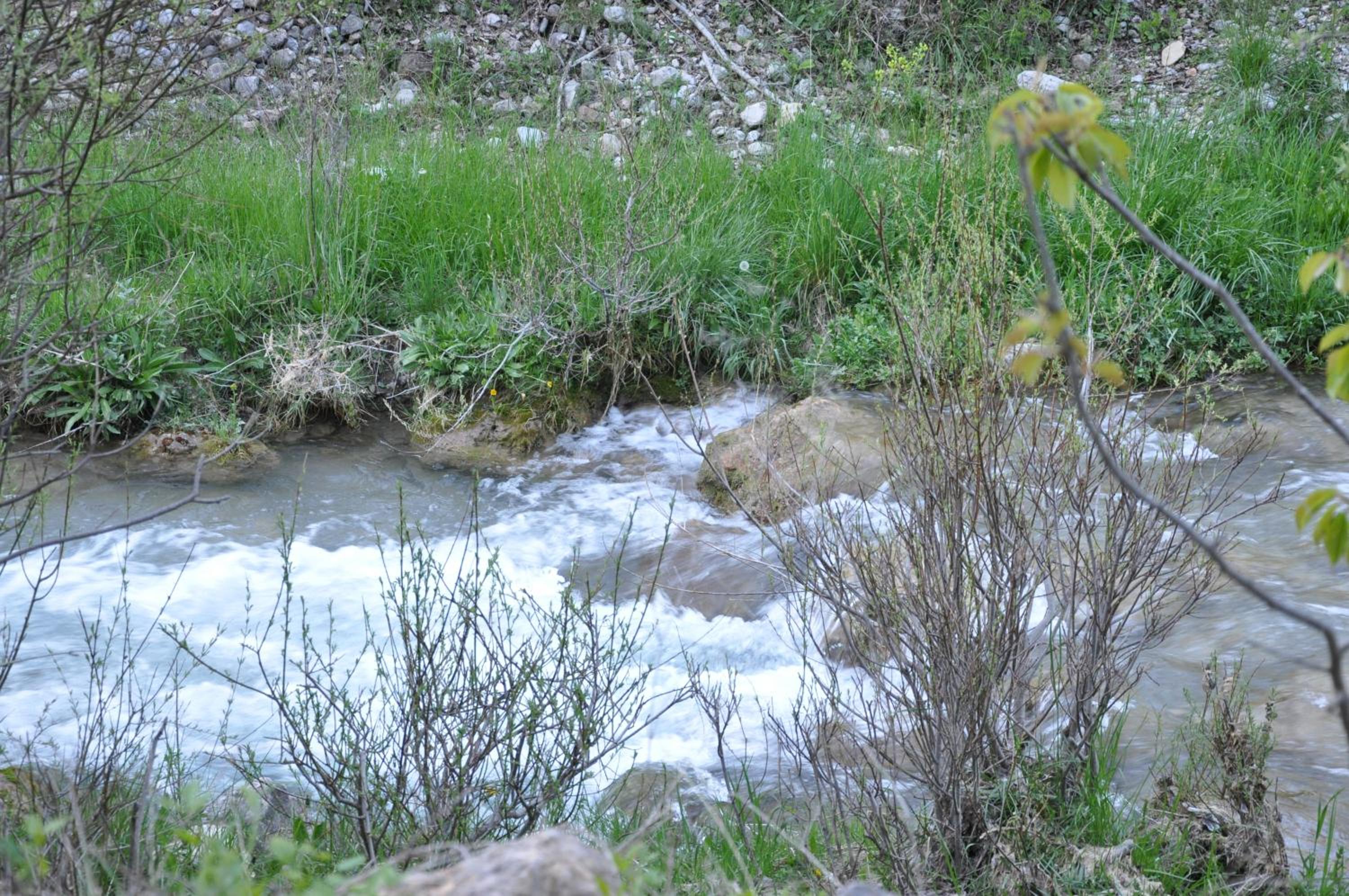 Photo 196