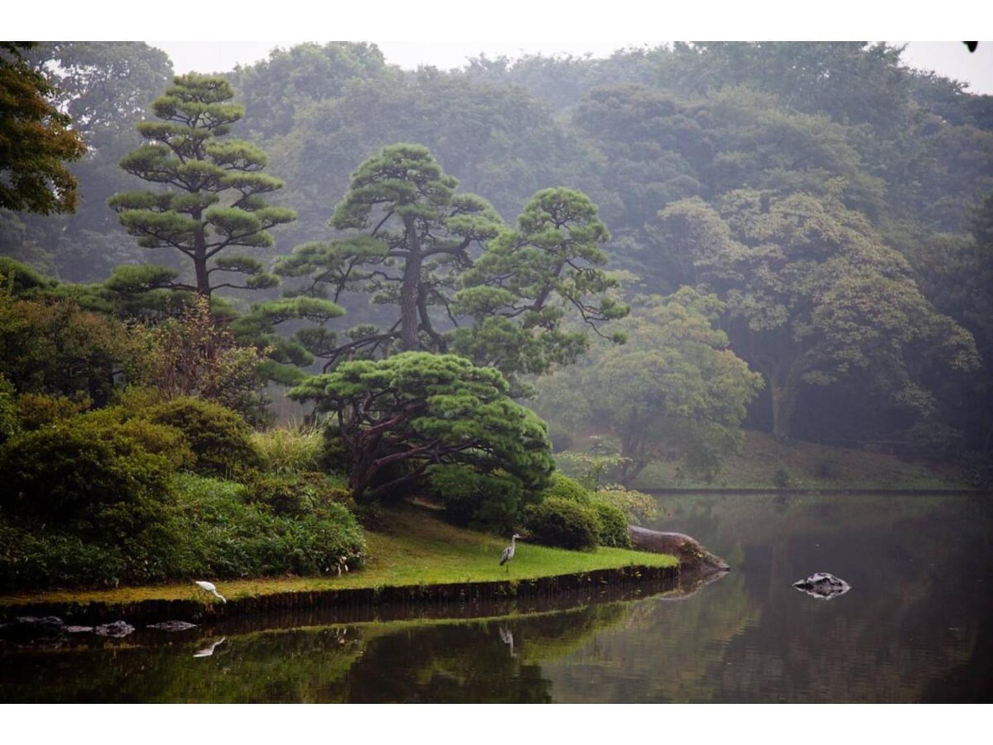 Tora Hotel Rikugien - Vacation STAY 52744v