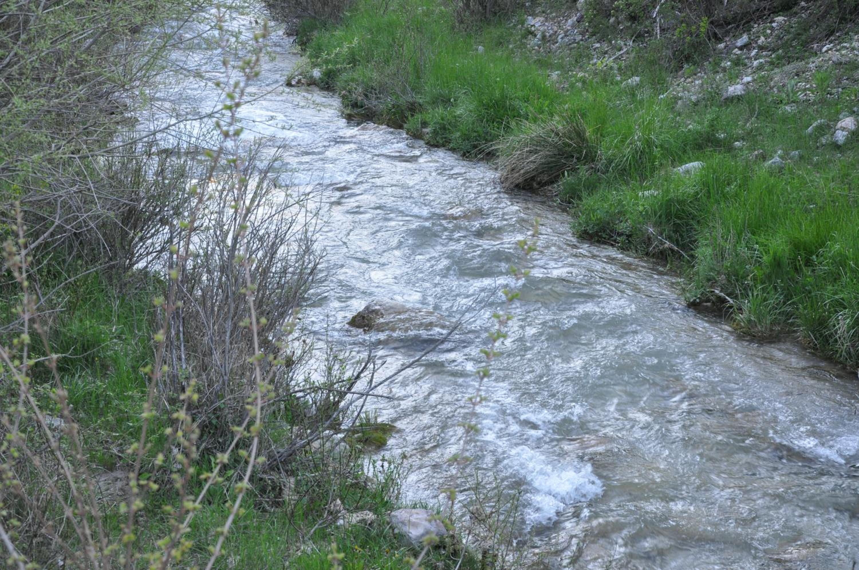 Photo 198
