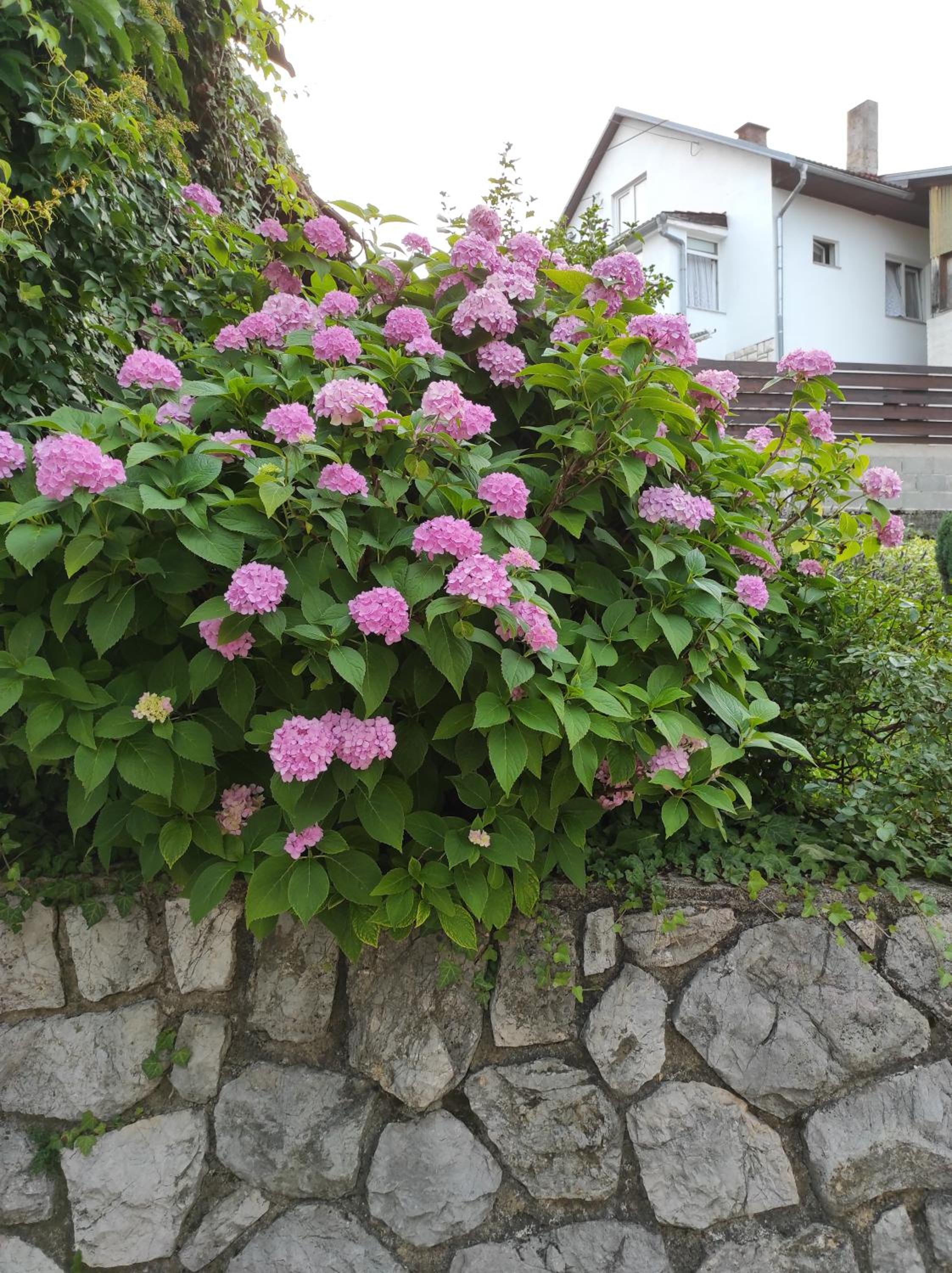 Photo 30