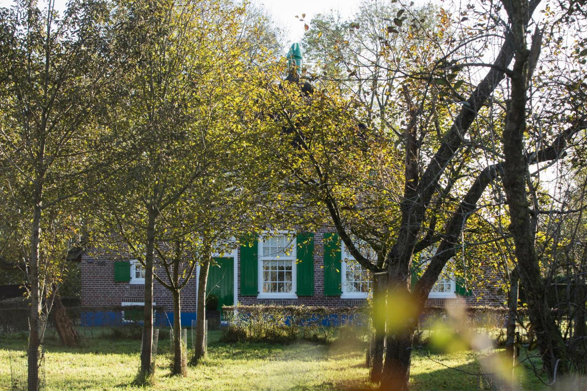 Photo 43