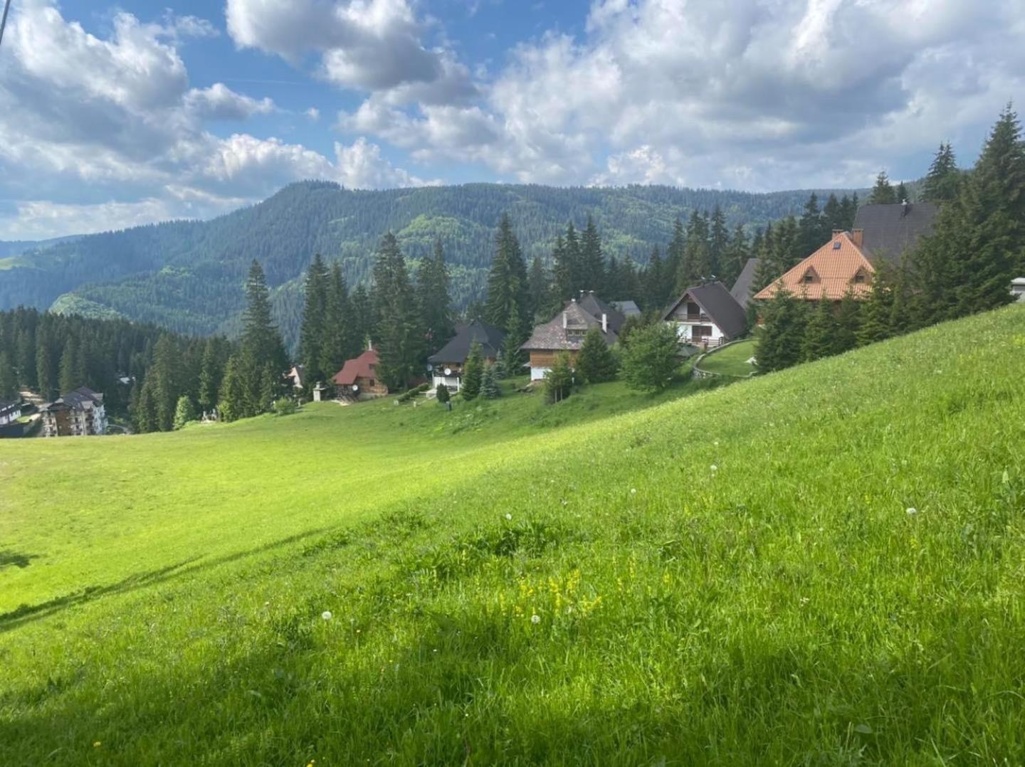 Alpin Apartments Vlašić view 4
