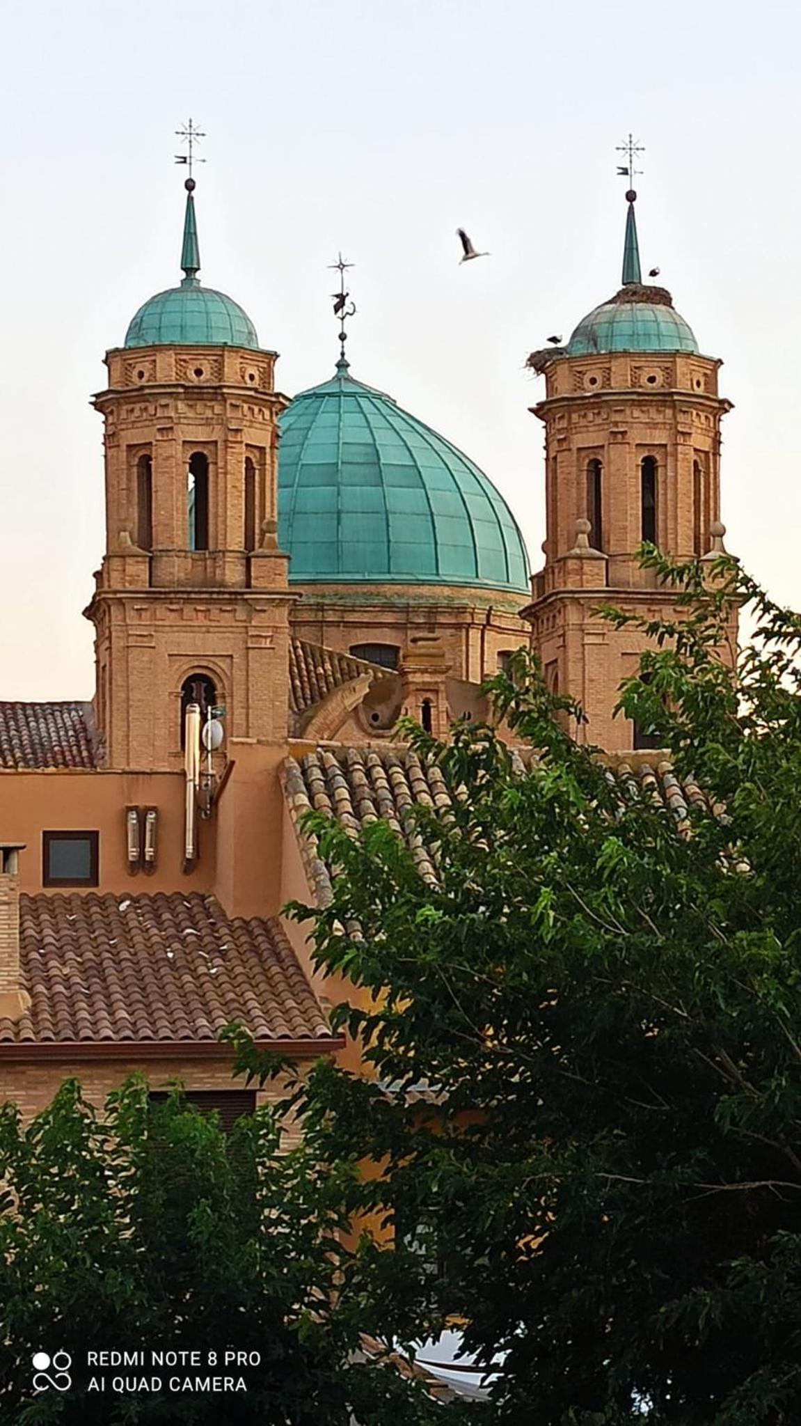 Photo 40