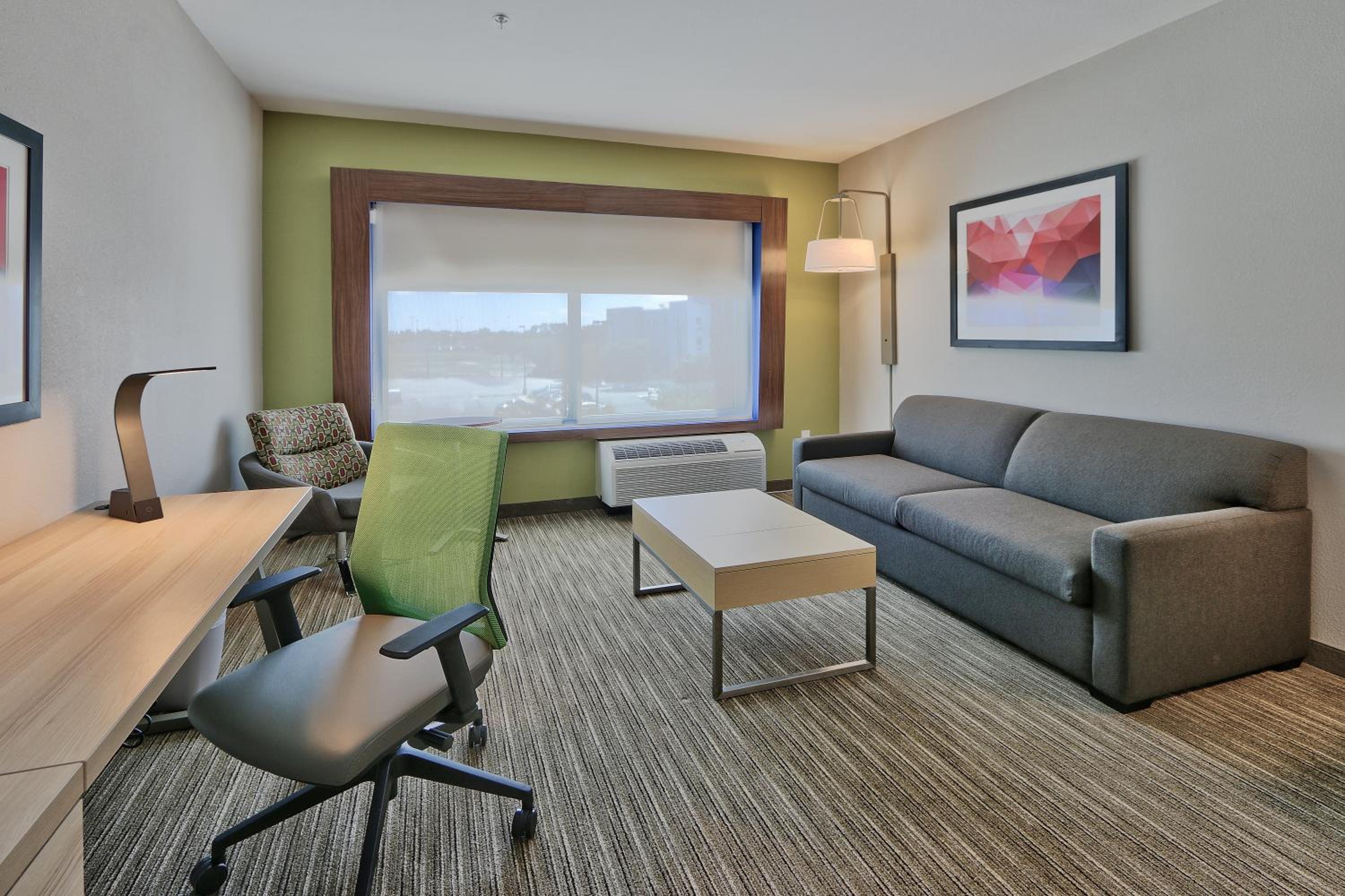 Roswell Vacations - Holiday Inn Express  Suites - Roswell, an IHG Hotel - Property Image 7