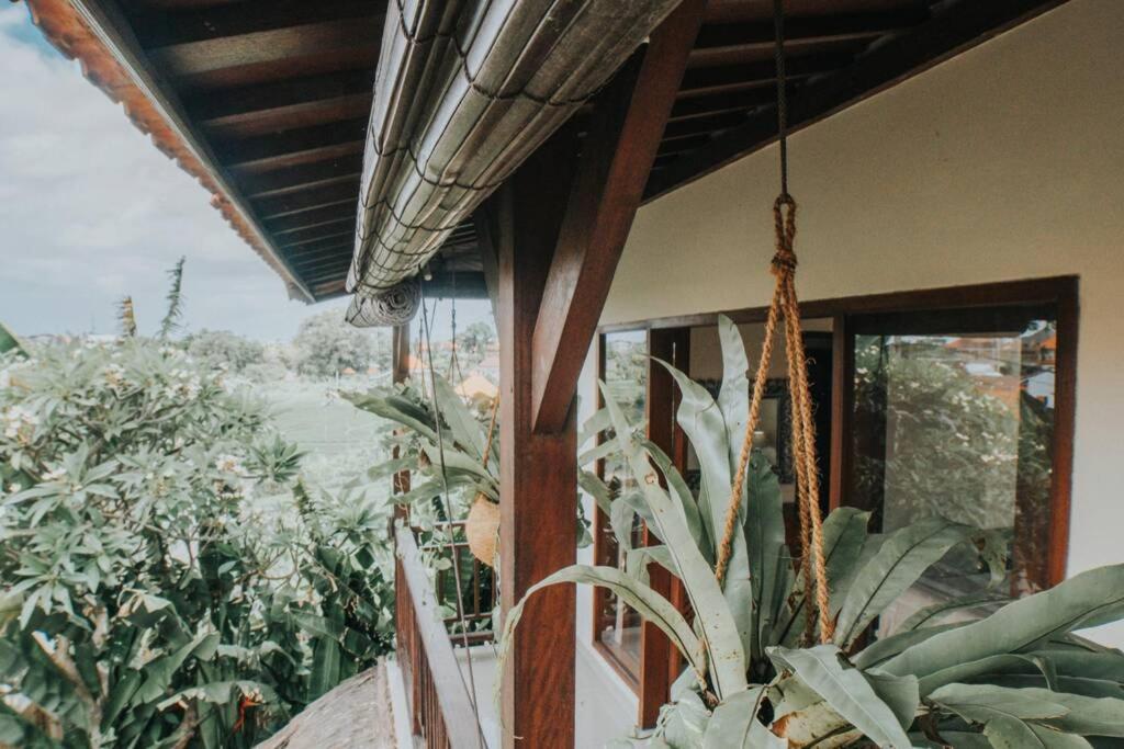 THE SUNNY LANE CANGGU view 5