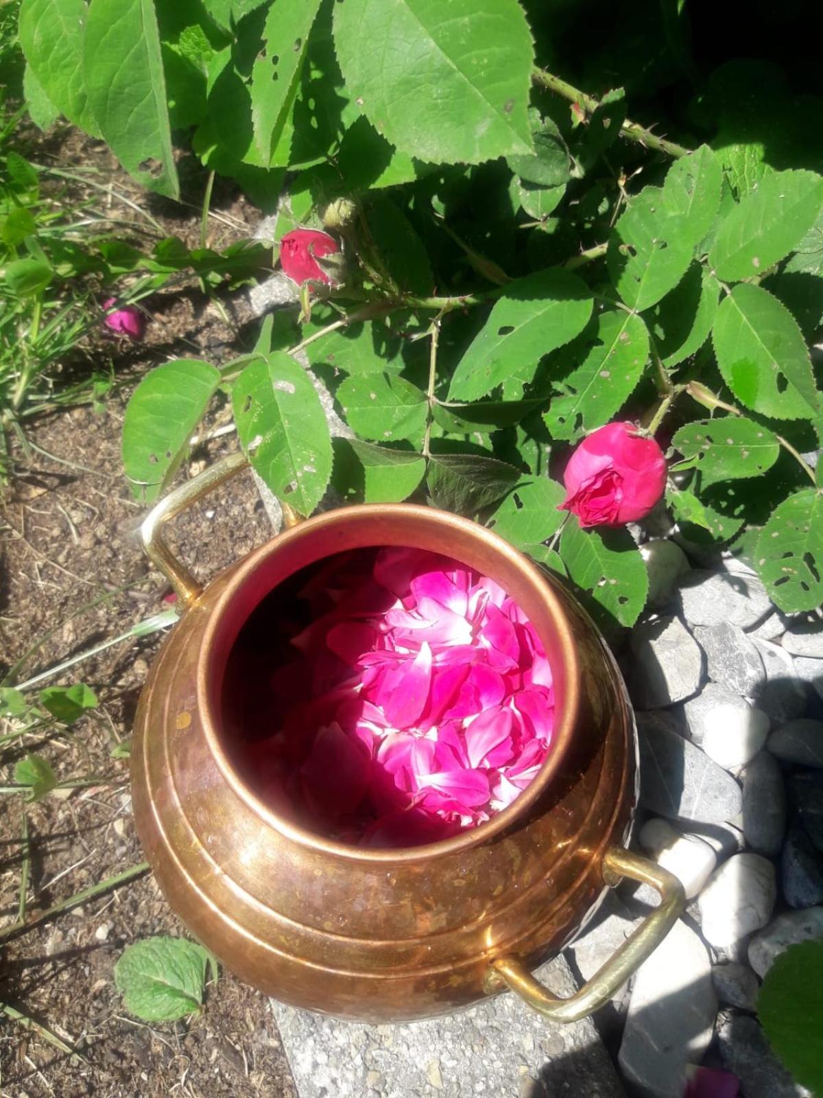 Photo 26