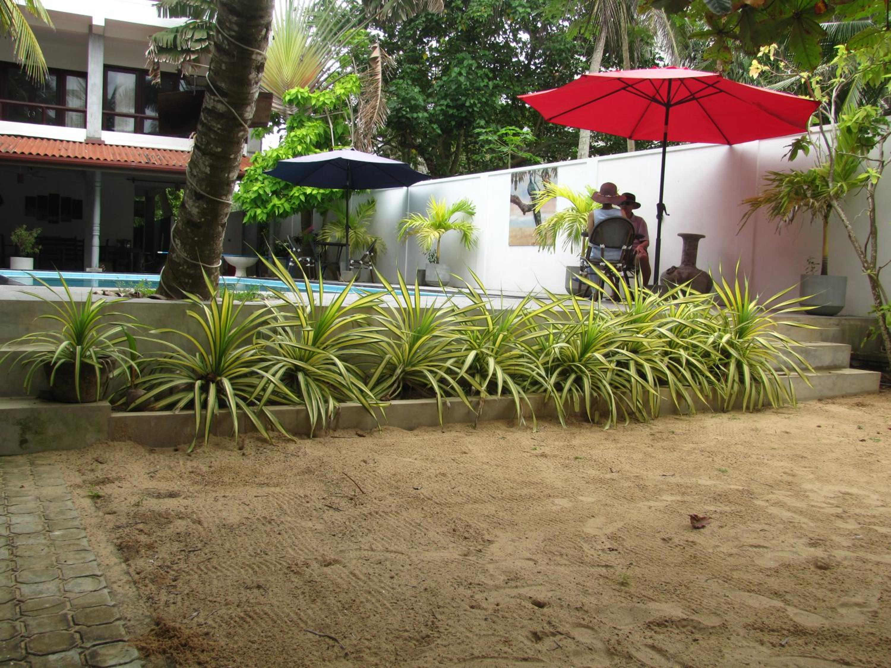 Photo 23