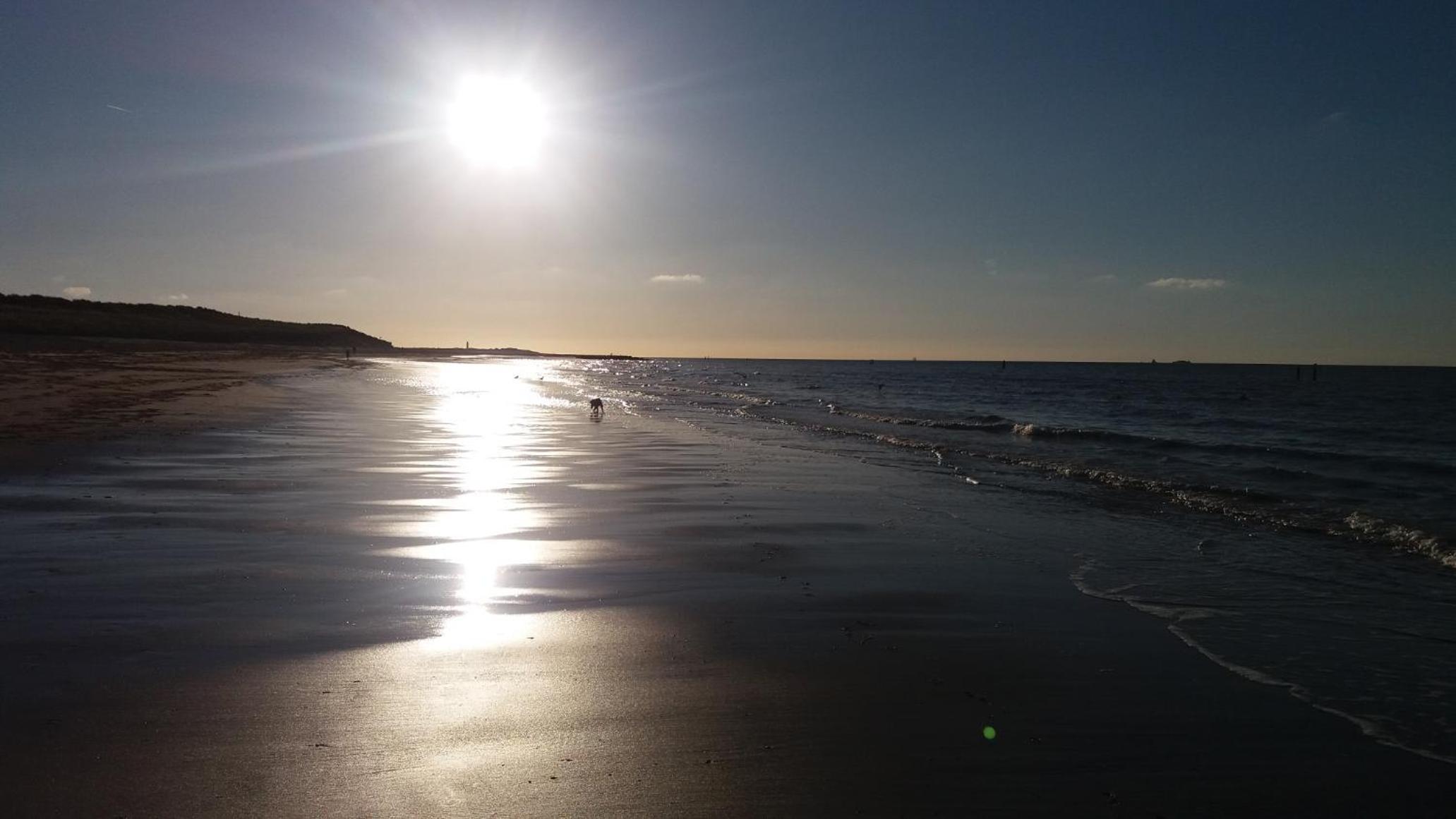 dreamingzeeland view 3