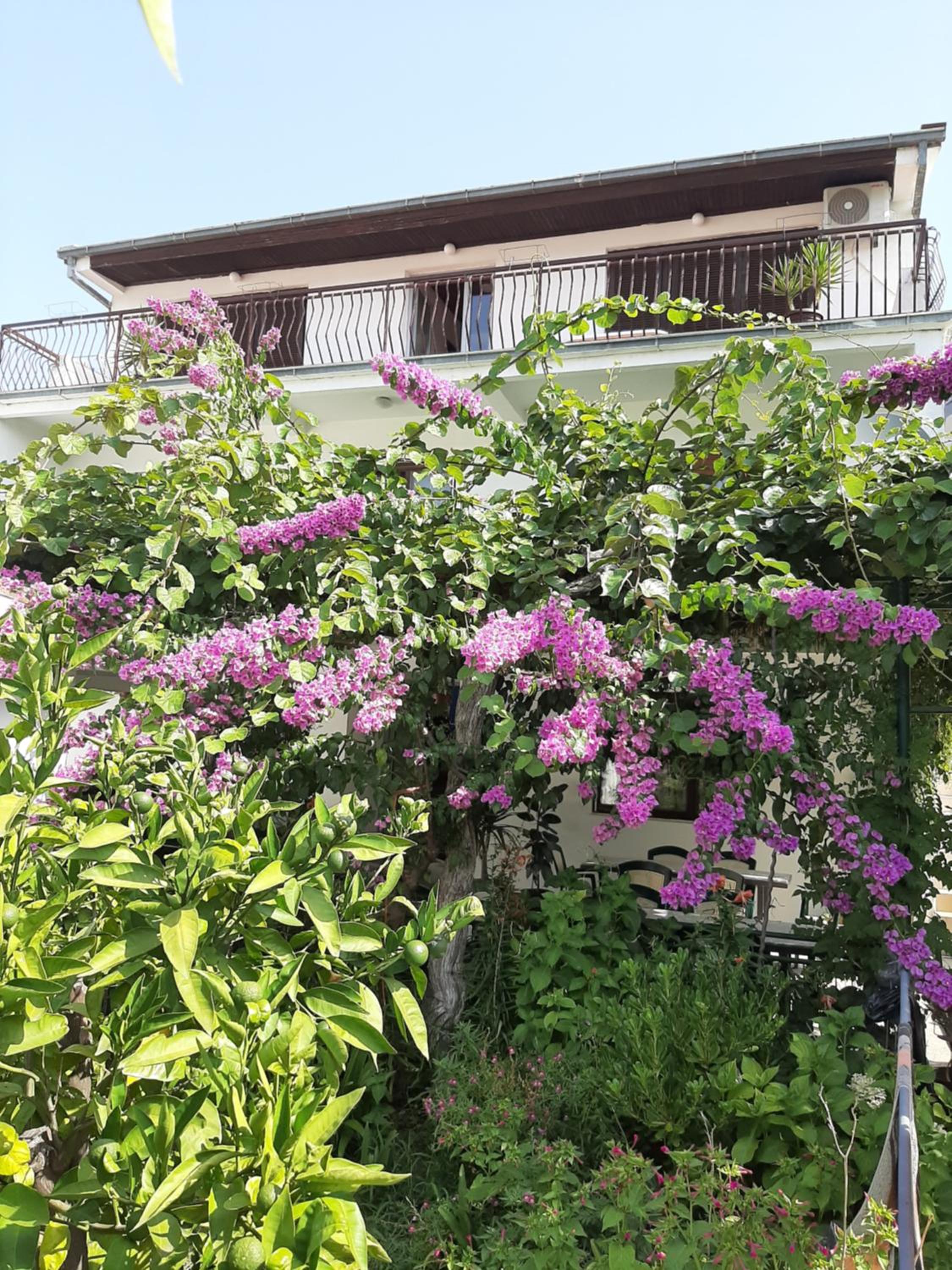 Guesthouse DONA photo 2