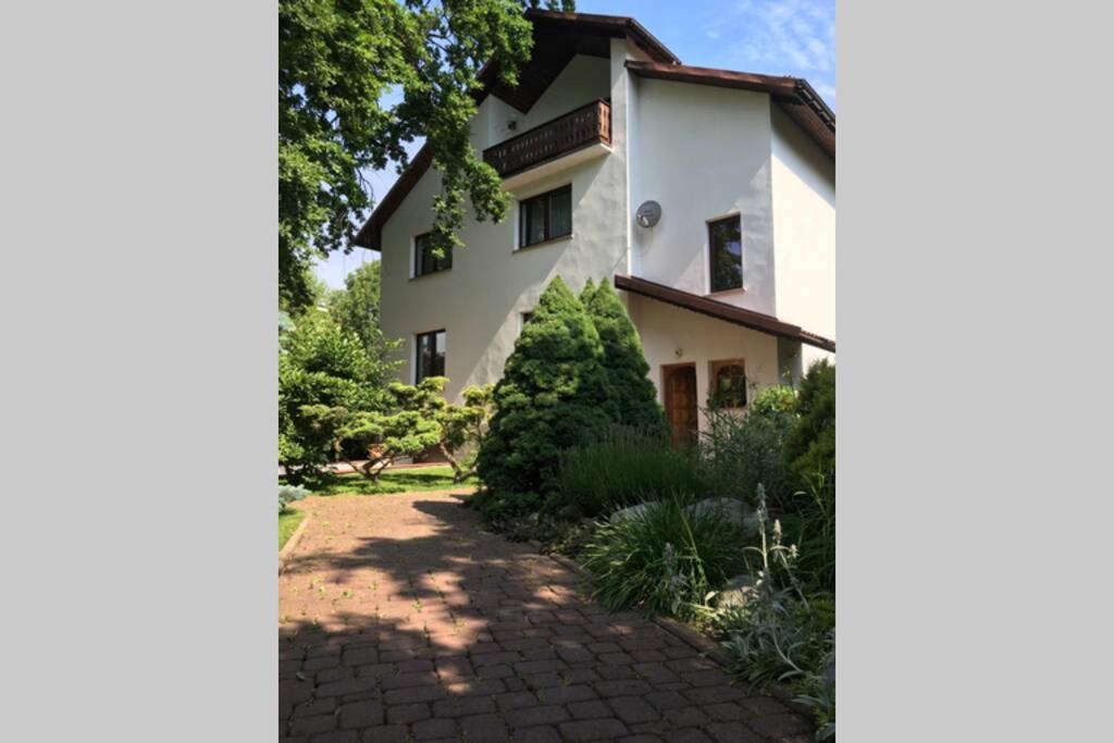 Hidden Gem Garden