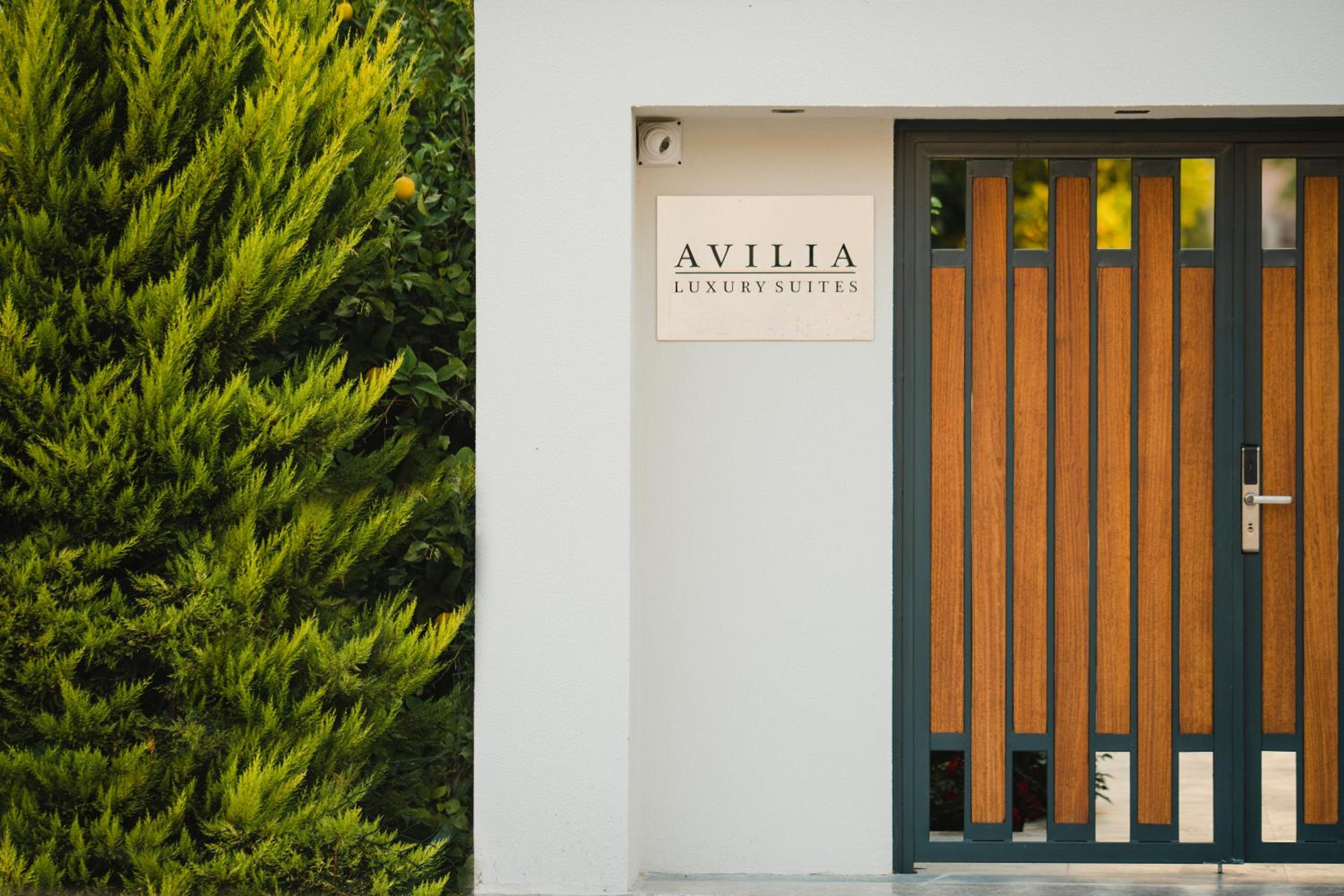 Avilia Süitler - Image 11