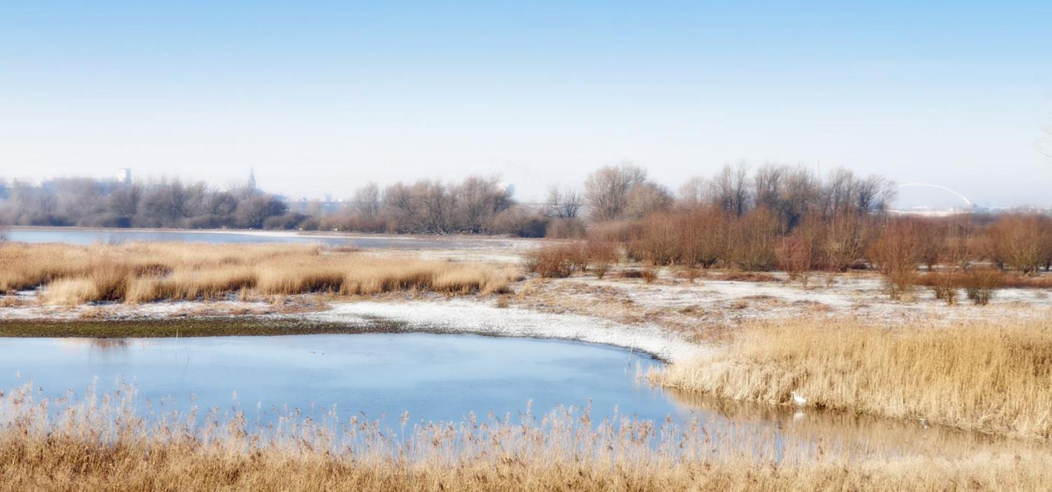 Waard van Kekerdom