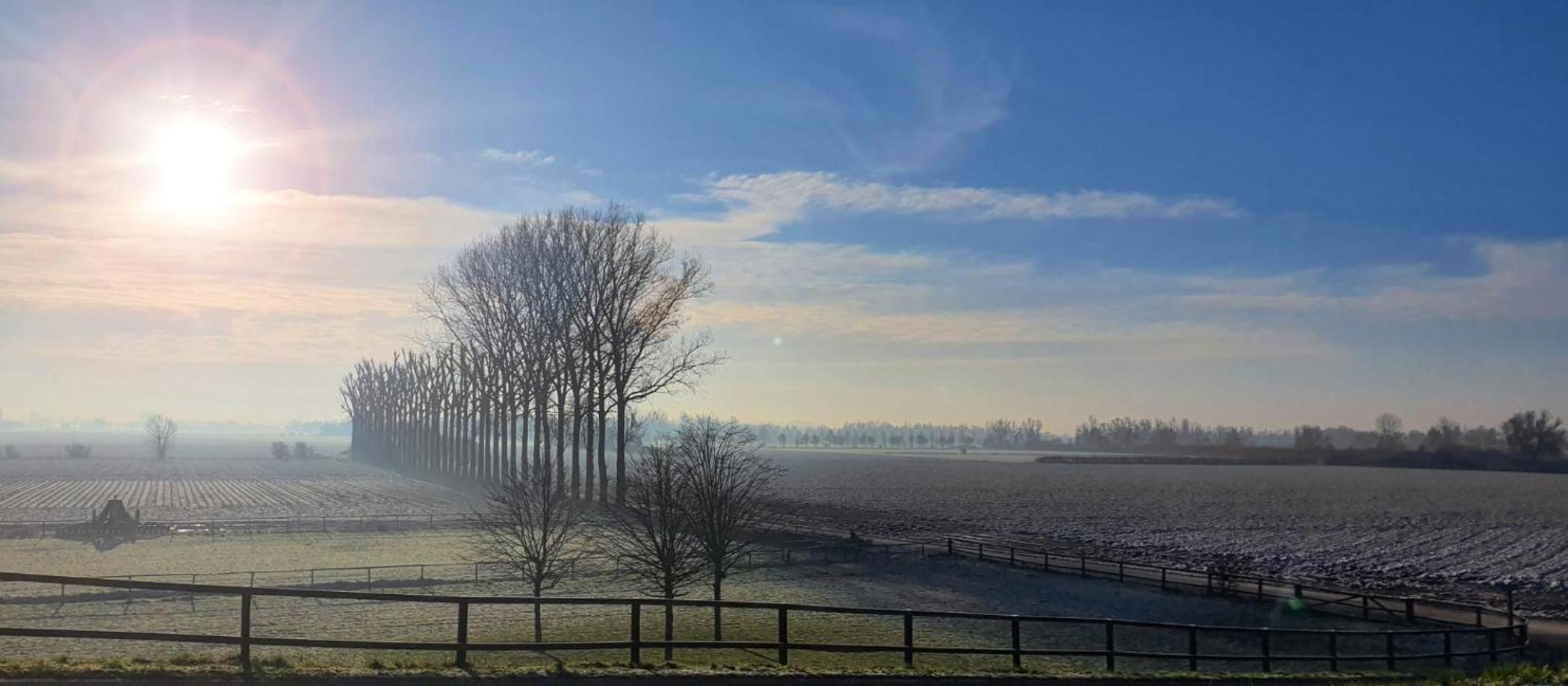 Waard van Kekerdom