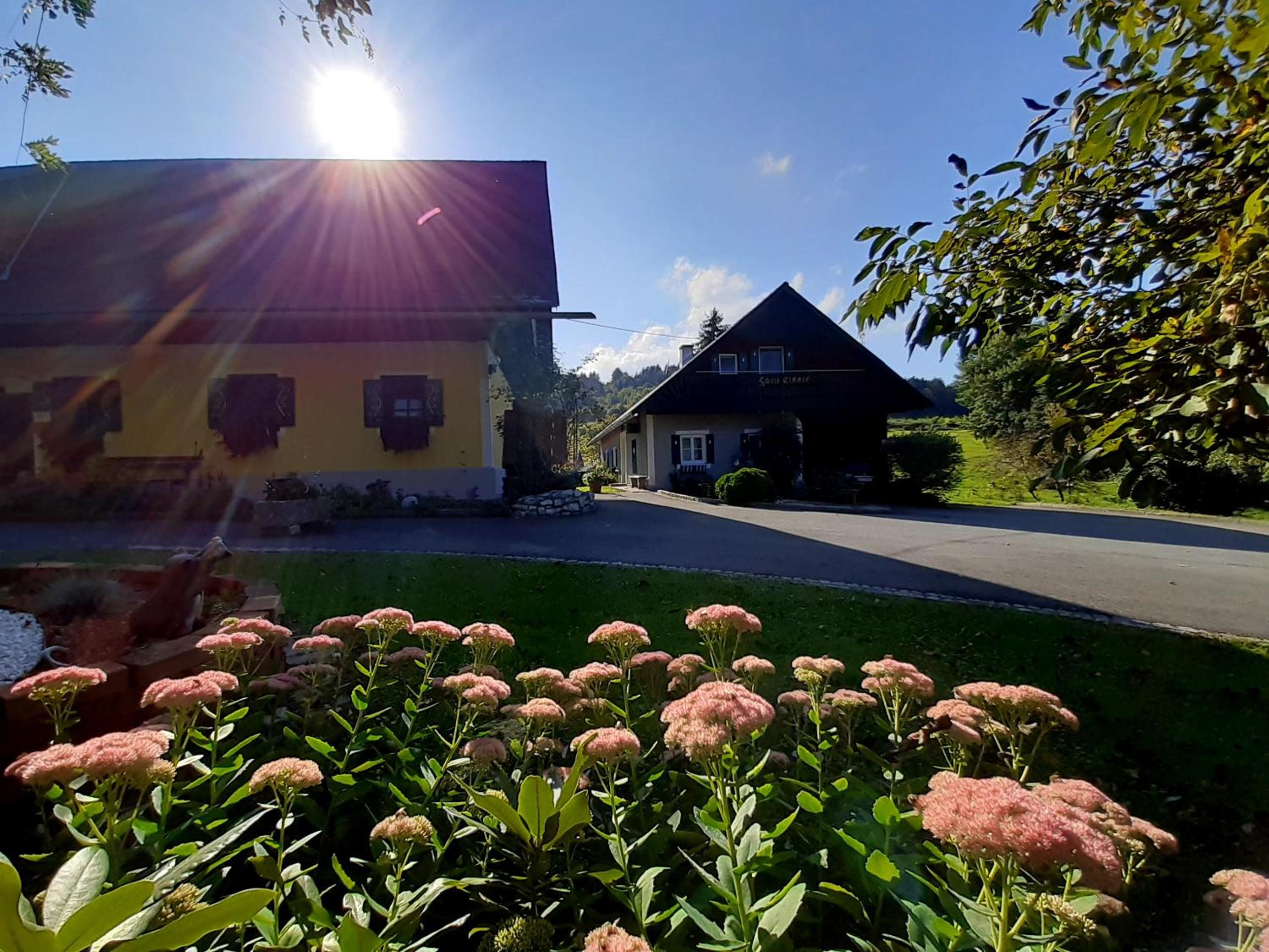 Schilcherweinbau Vollmaier vlg. Wieser view 2