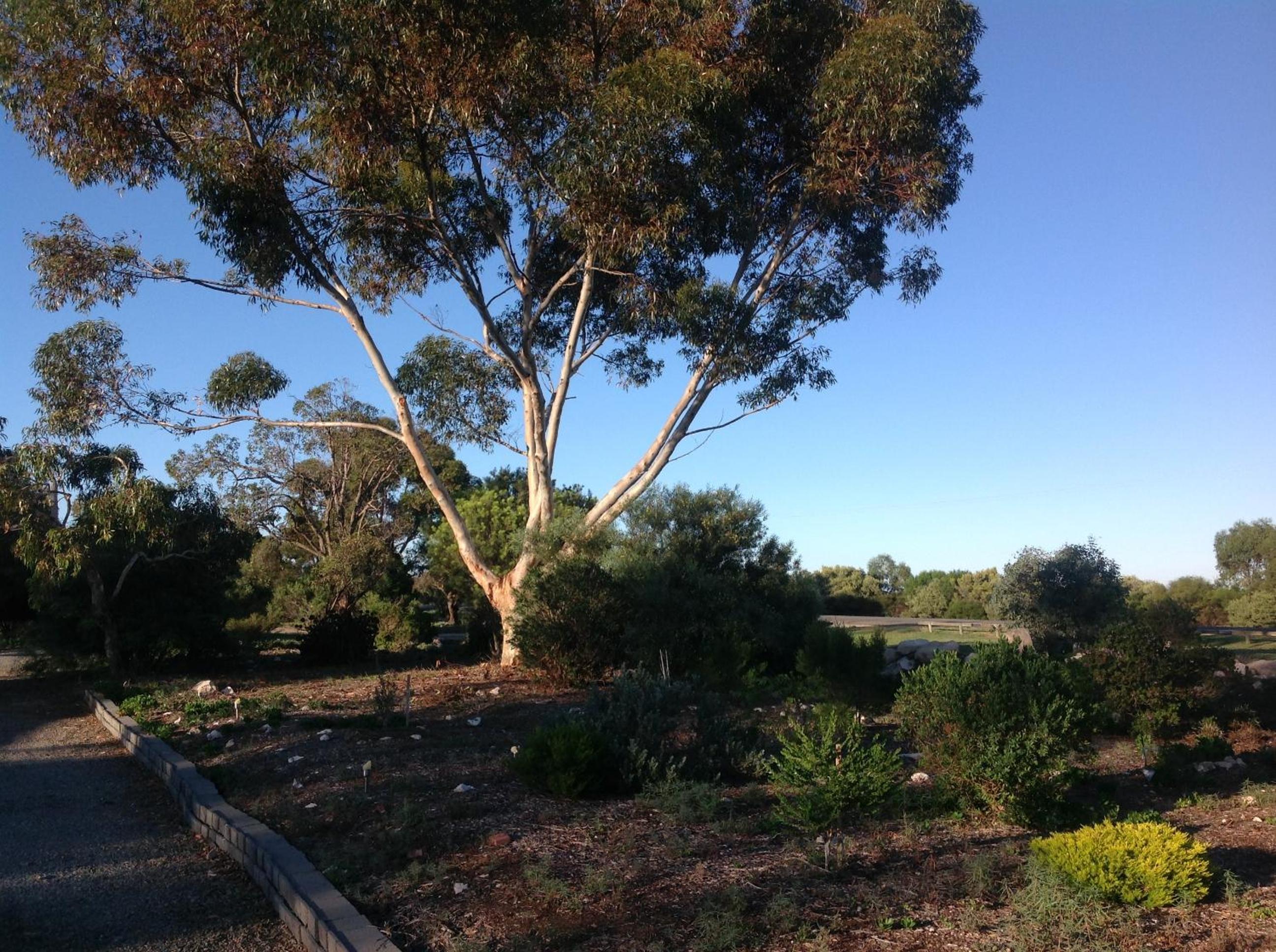 Murray Bridge Motor Inn