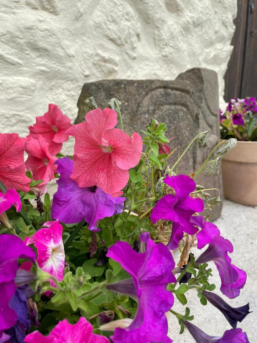 Photo 36