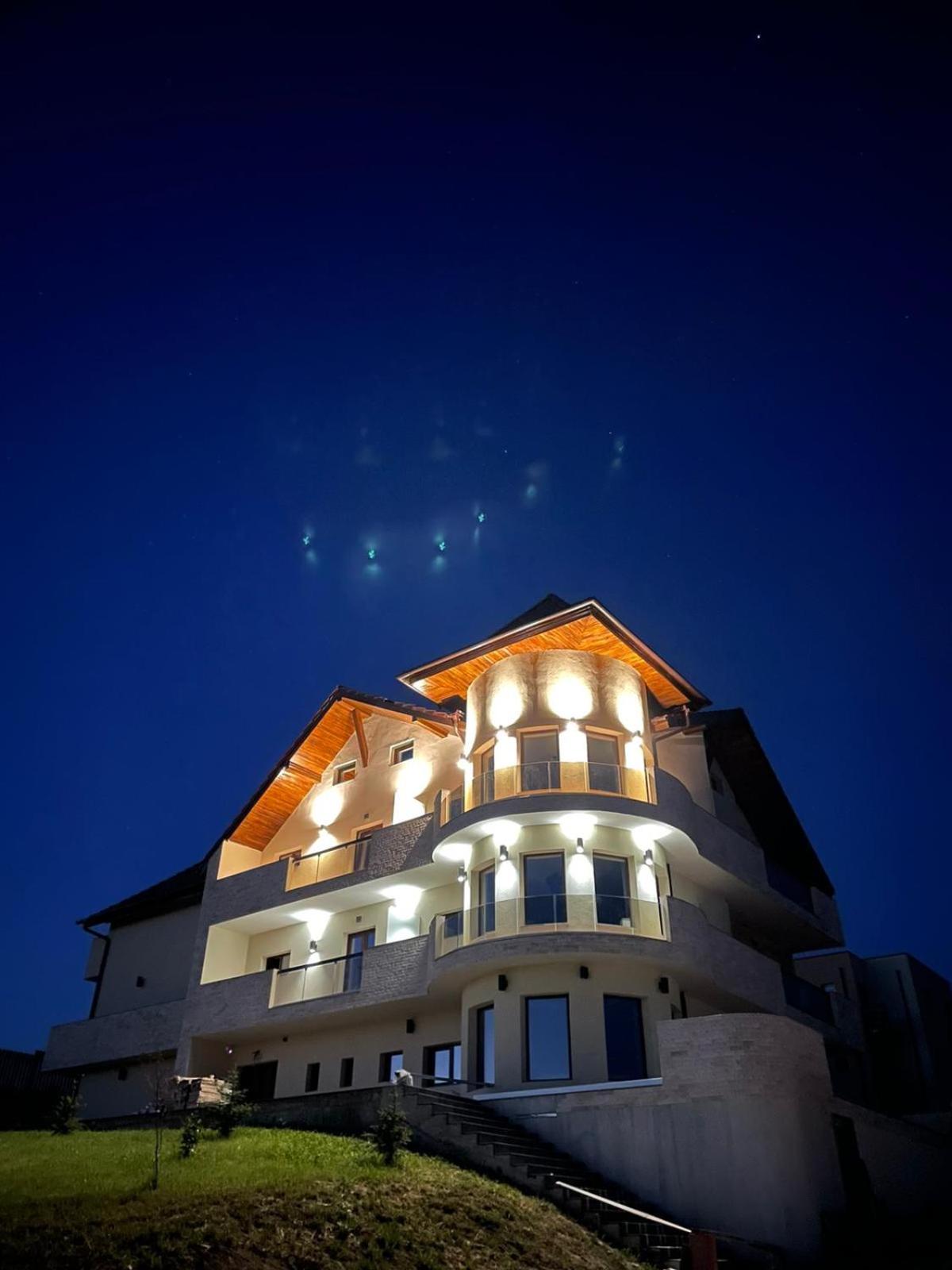 Hotel Pensiunea Palace