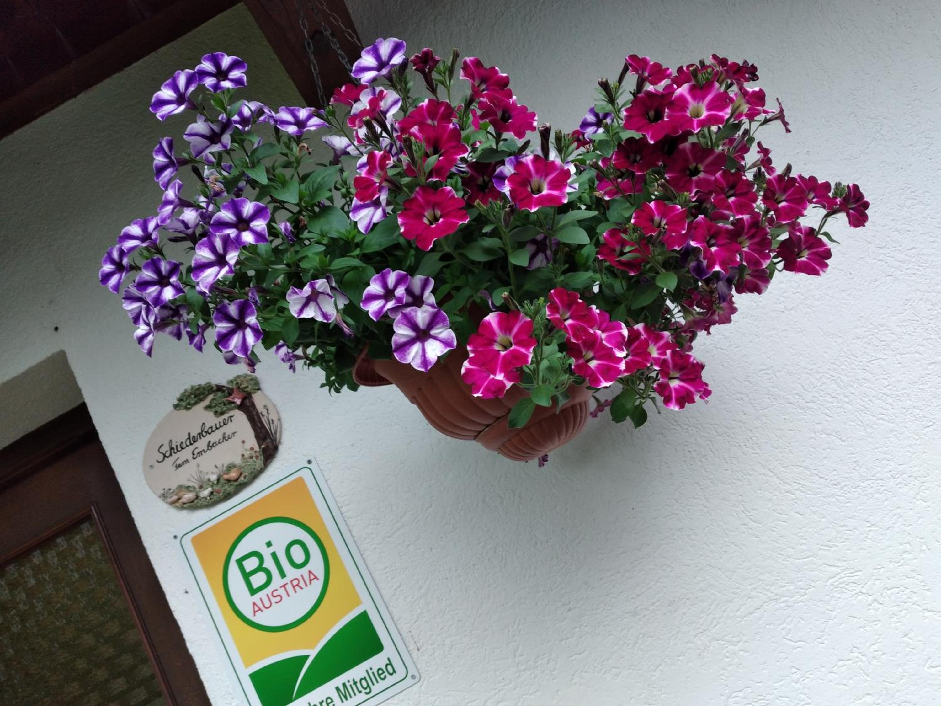 Bio-Bauernhof Schiederhof