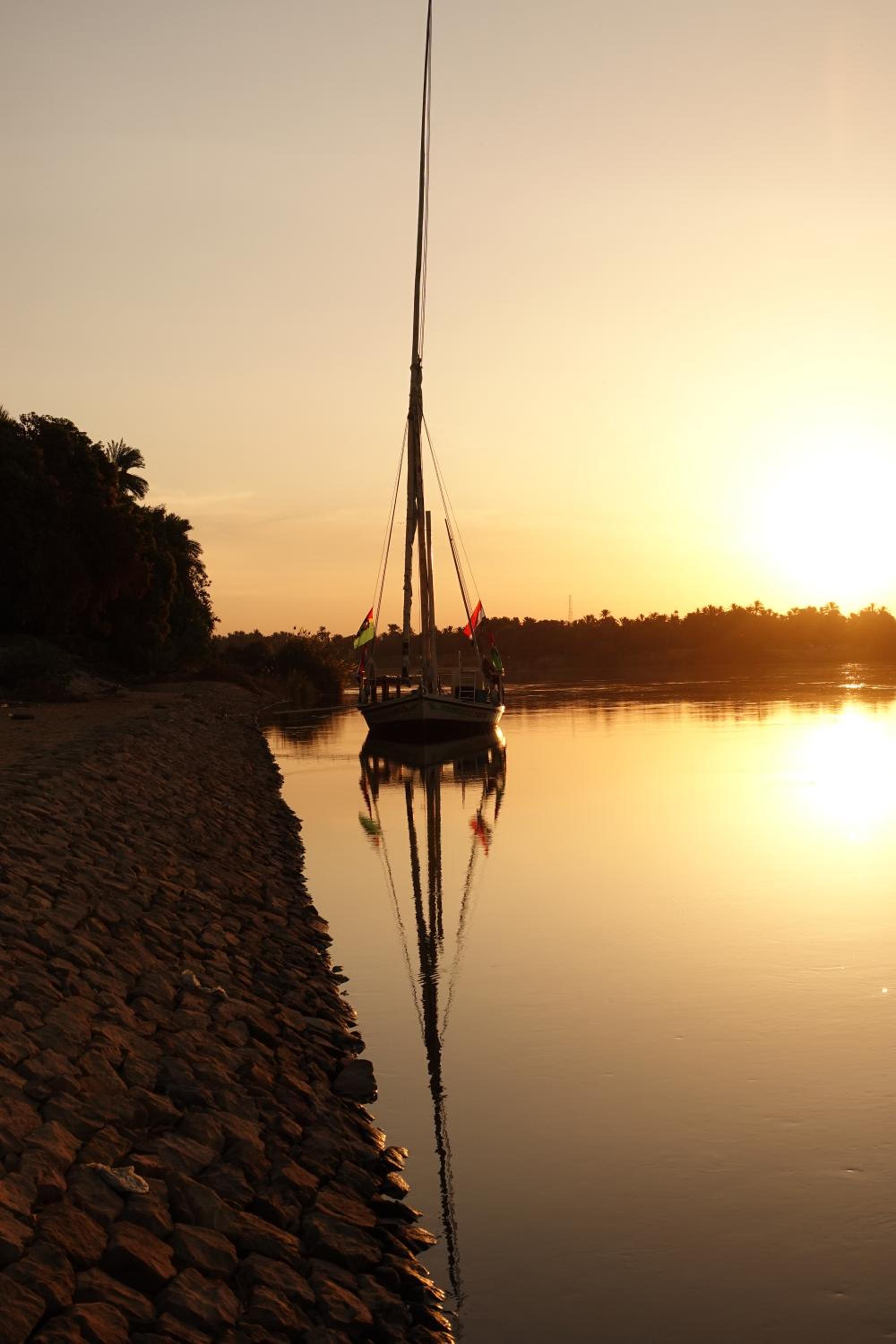 JJ Jamaica Felucca - Image 5