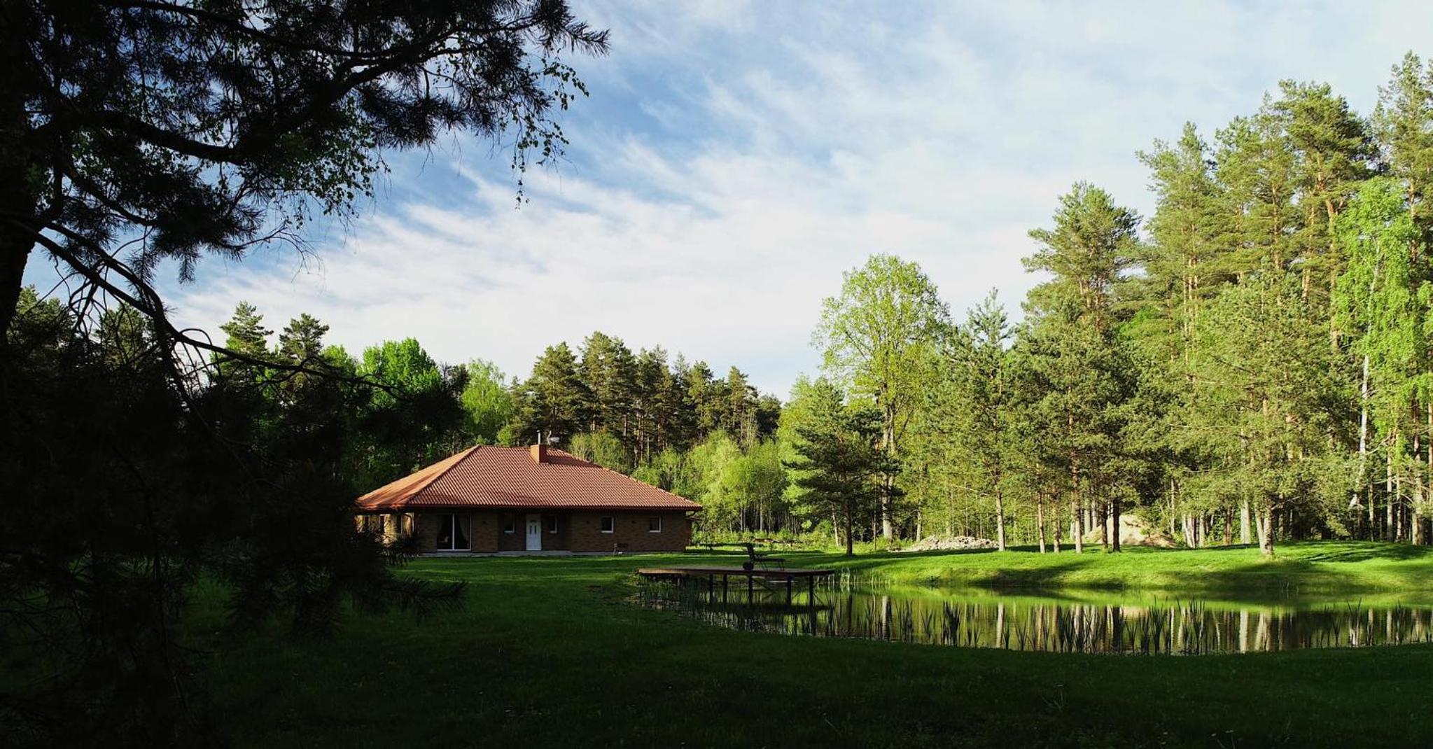 Forest house for family view 5